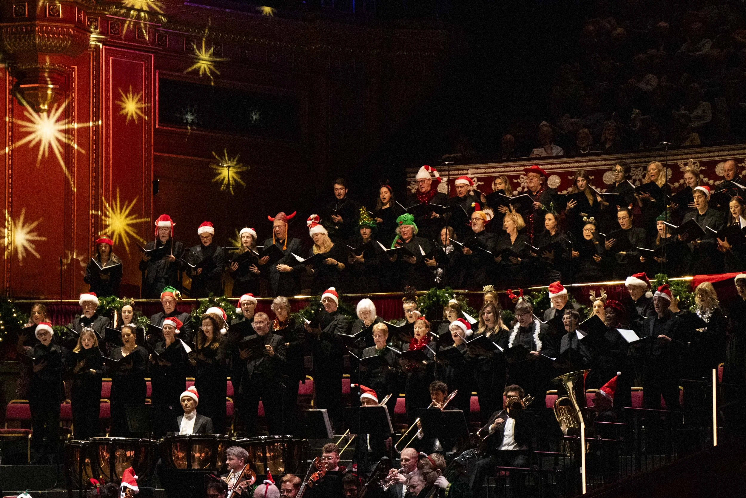Philharmonic orchestra (28).jpg