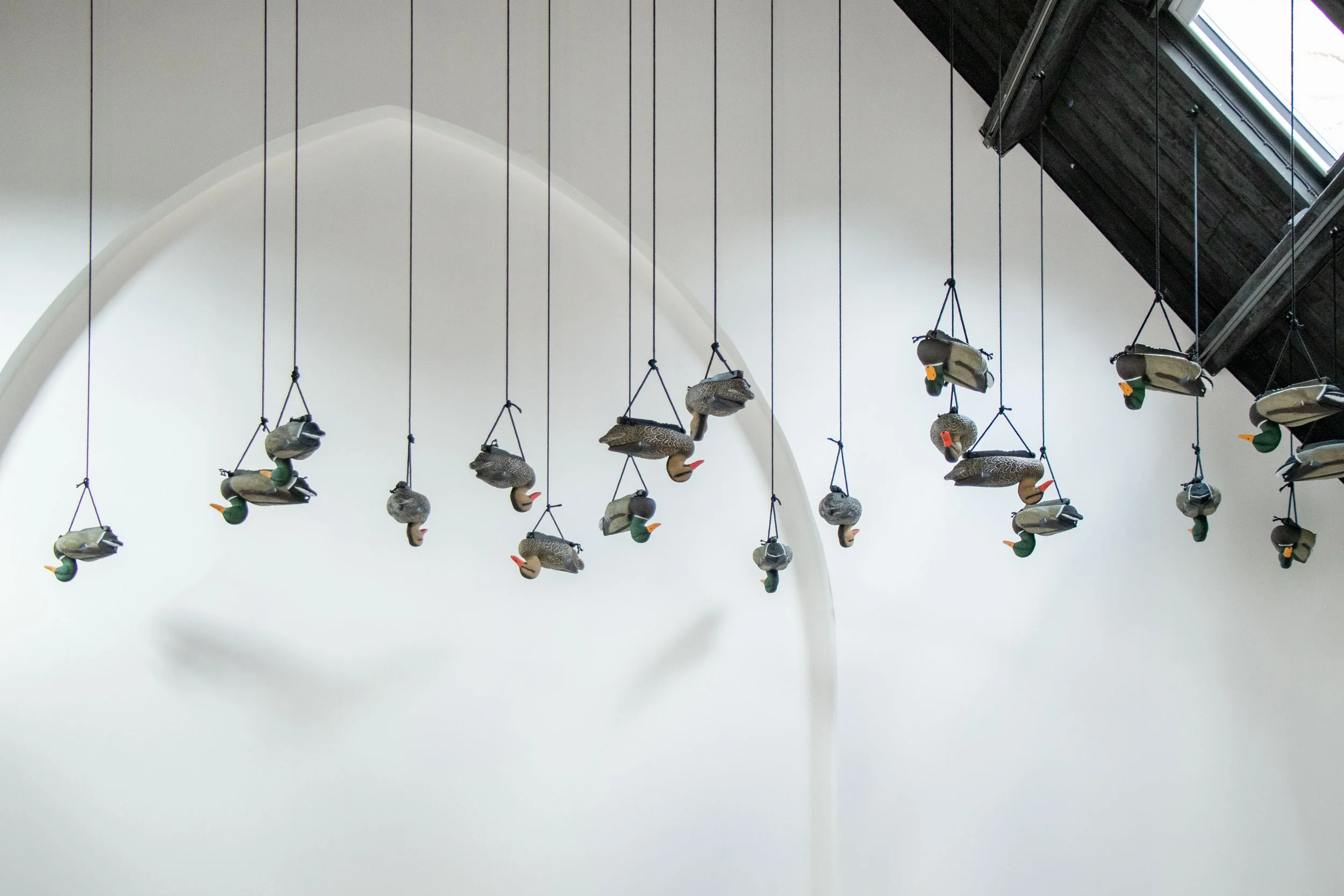 Studio Voltaire (Gurnoor 240625) (99).jpg