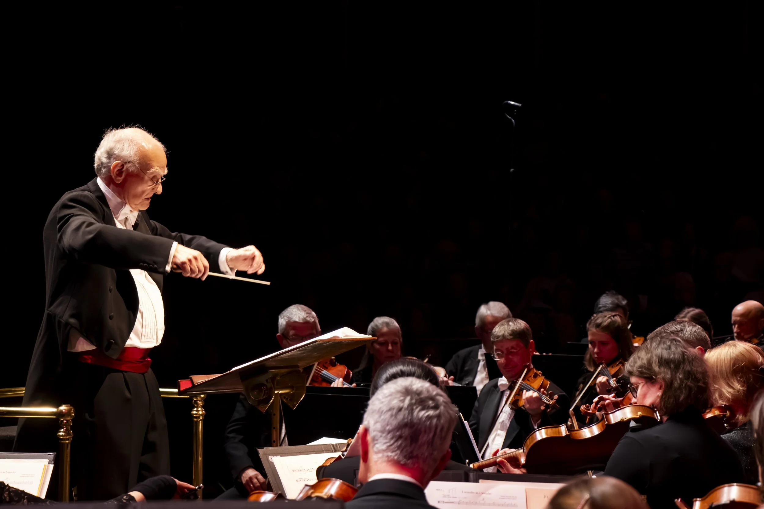 Philharmonic orchestra (17).jpg