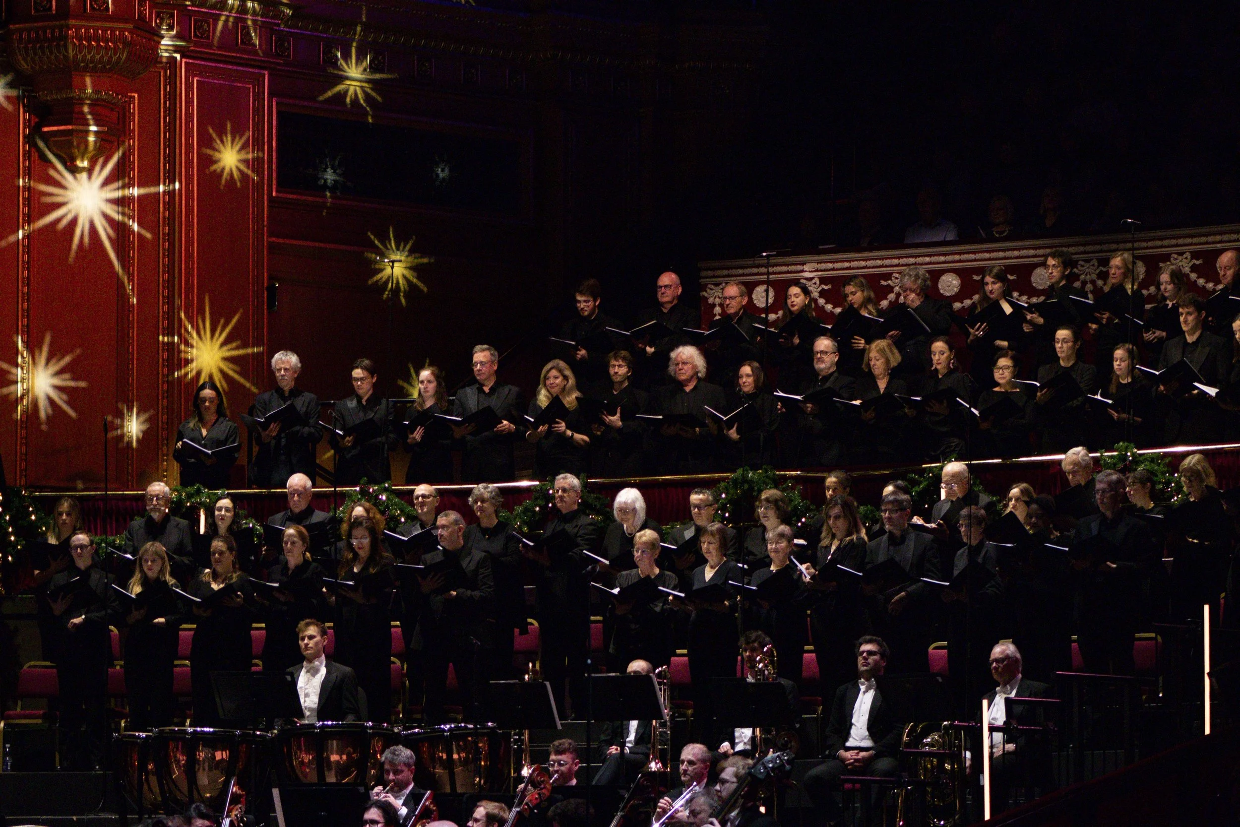 Philharmonic orchestra (6).jpg