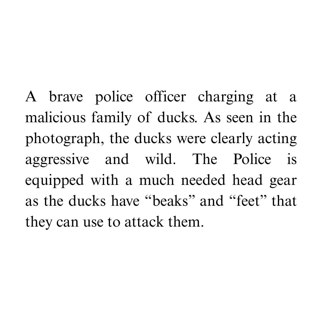 A brave police officer charging at a malicious family of ducks. As seen in the photograph, the ducks were.jpg