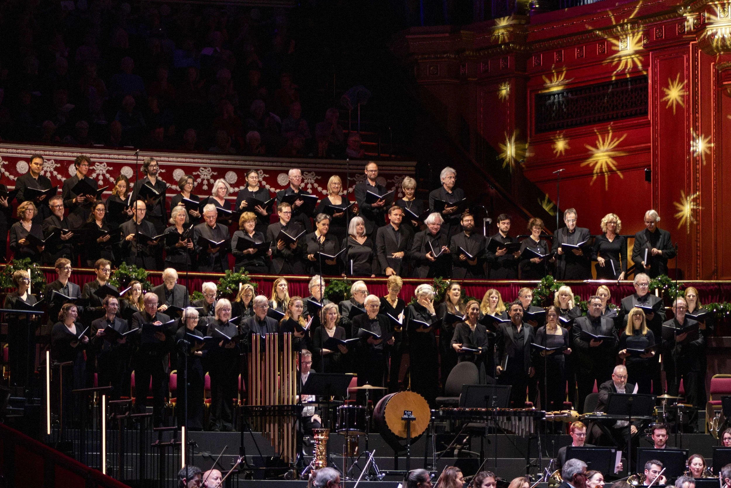 Philharmonic orchestra (5).jpg