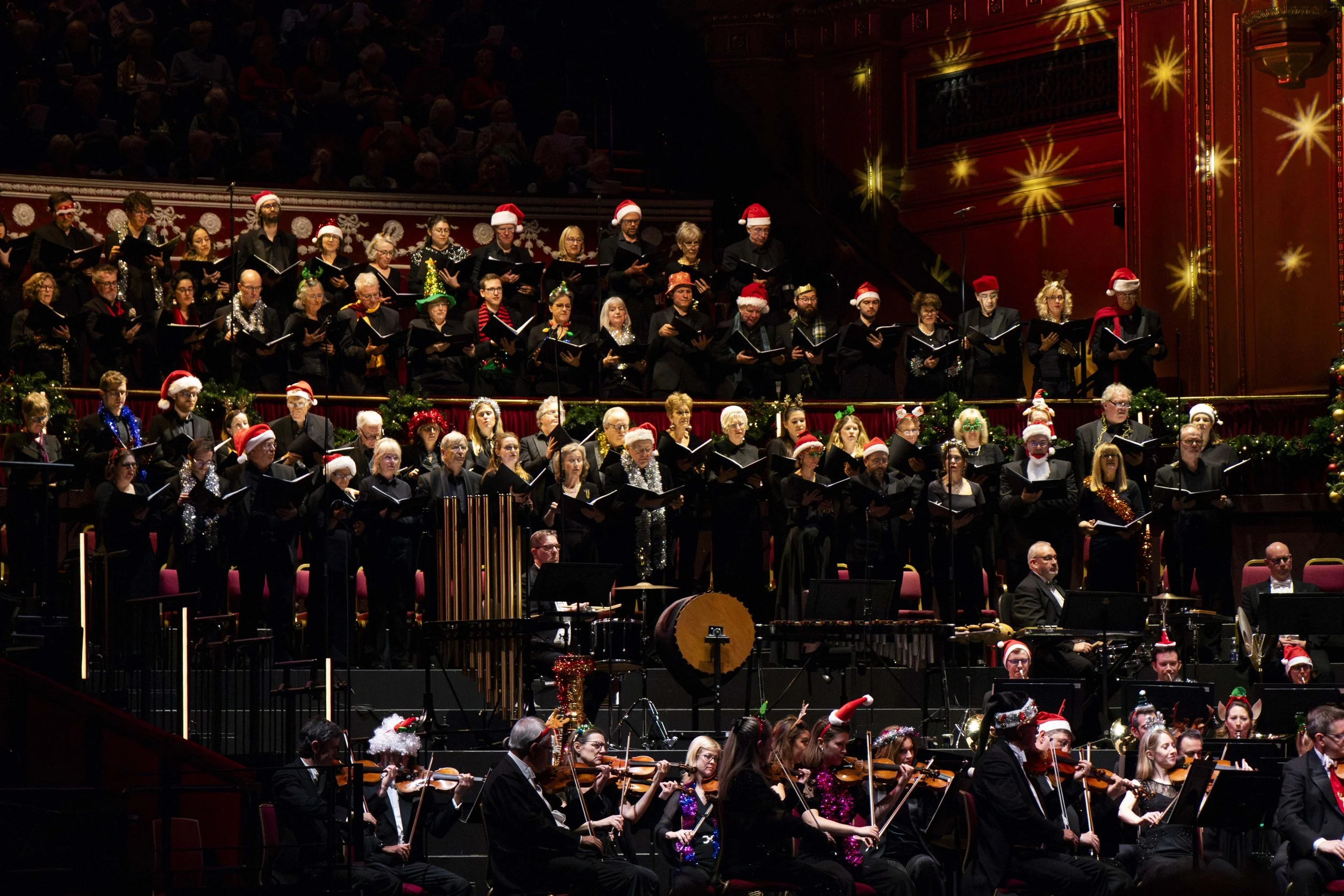 Philharmonic orchestra (27).jpg