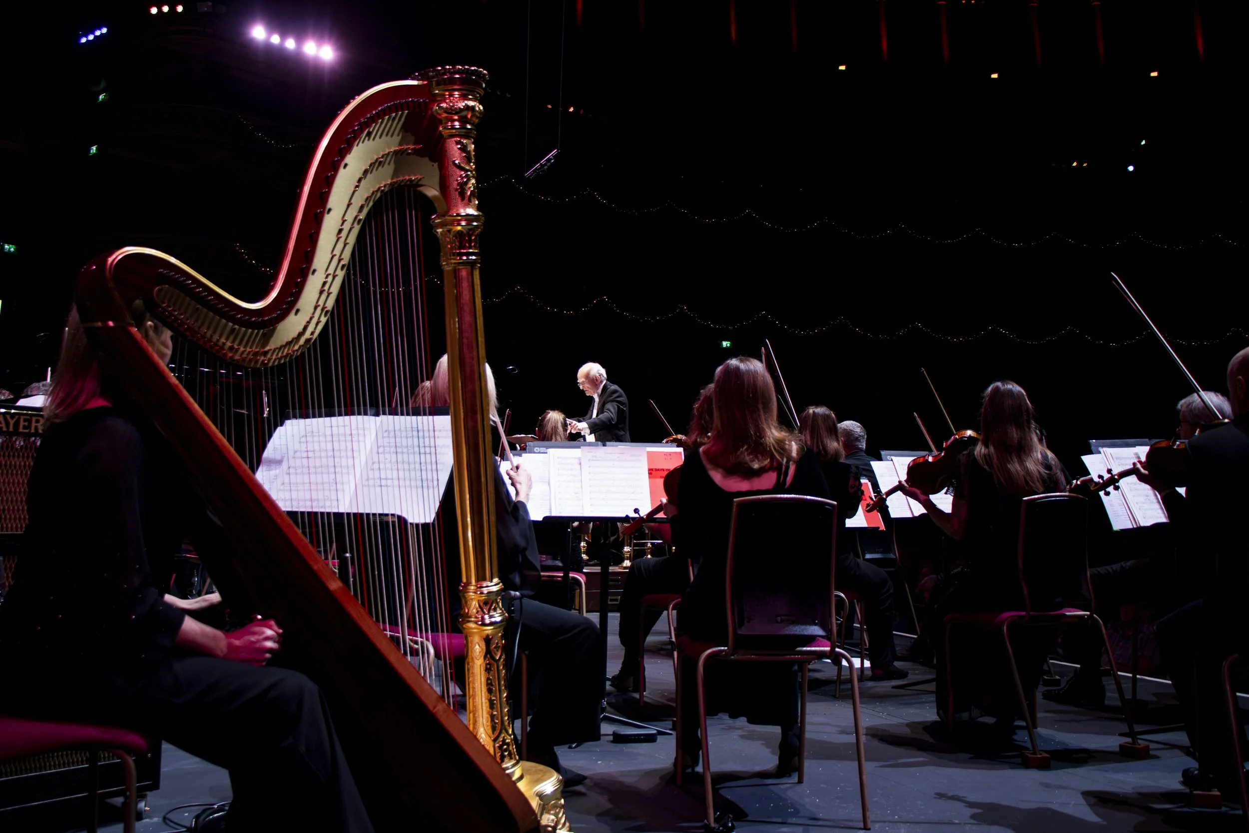 Philharmonic orchestra (18).jpg