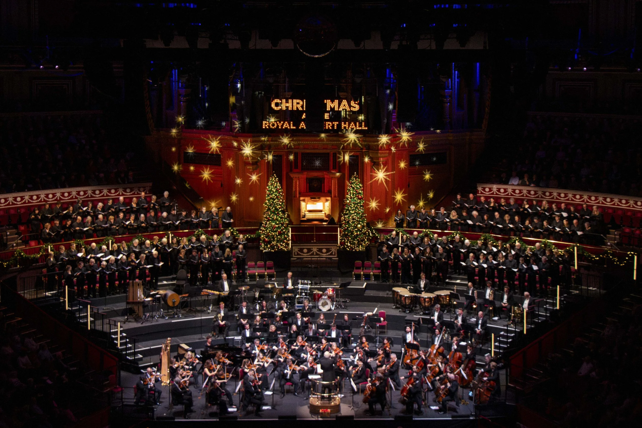 Philharmonic orchestra (4).jpg