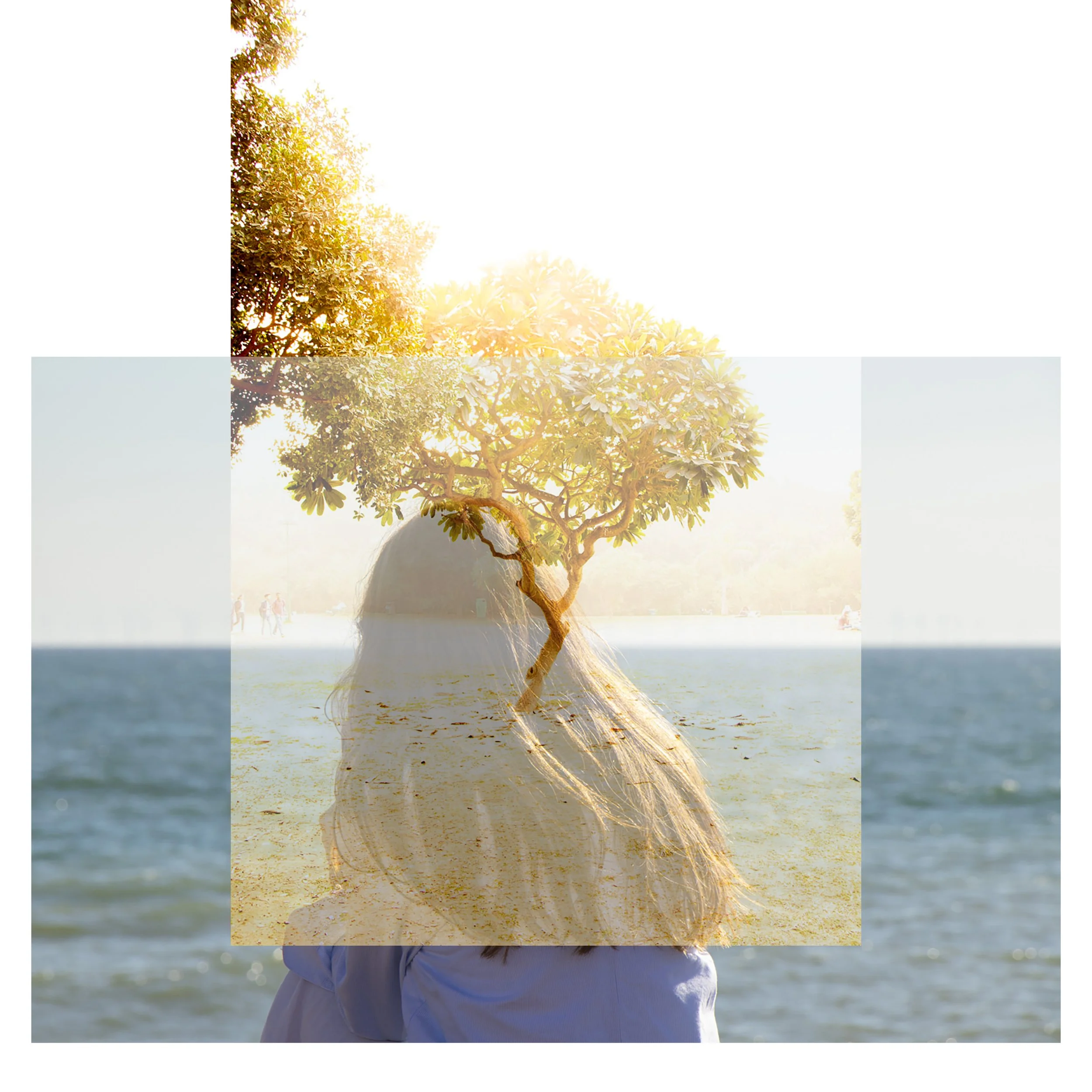Untitled-3.jpg