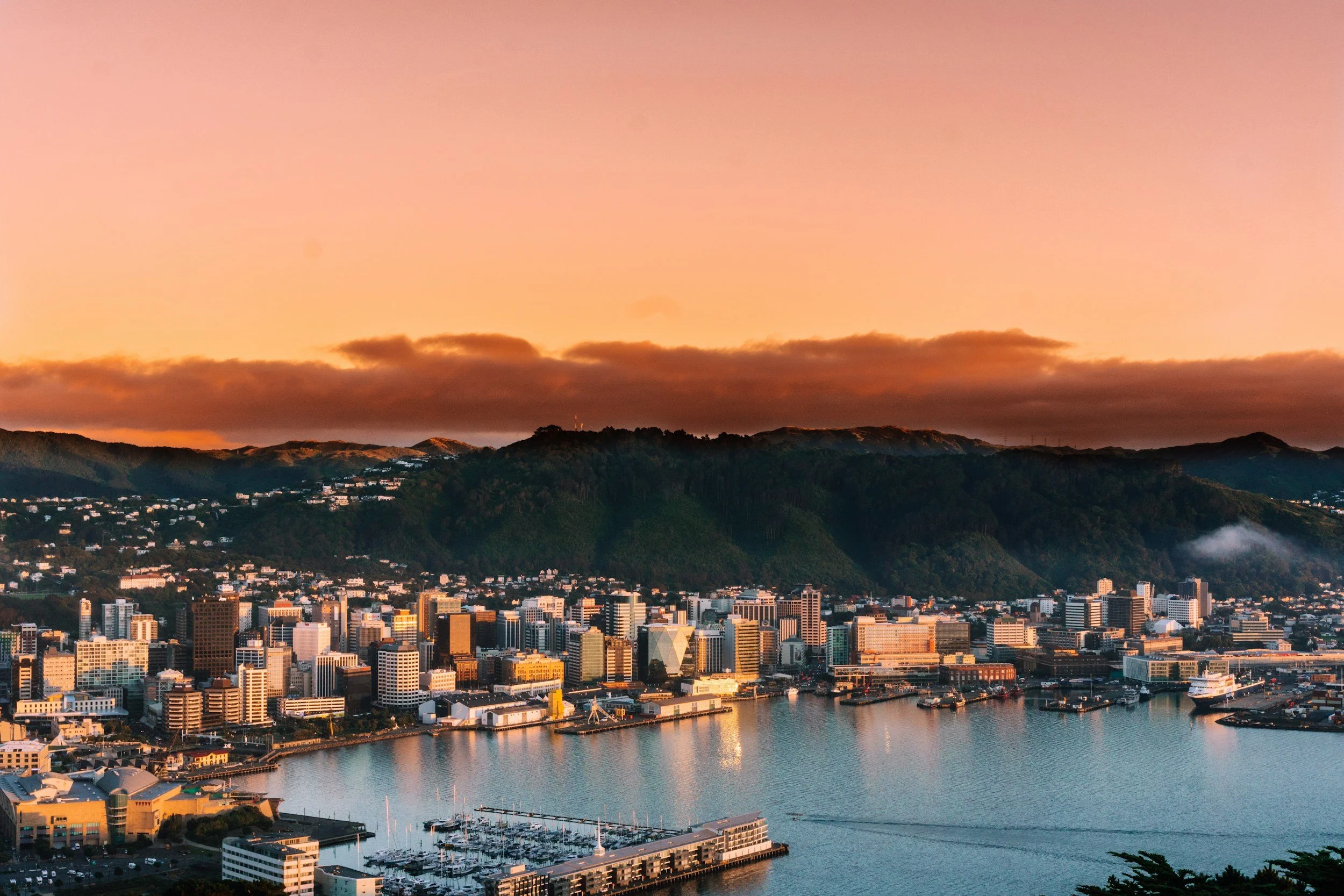 Visiting Wellington? Let's spend time together