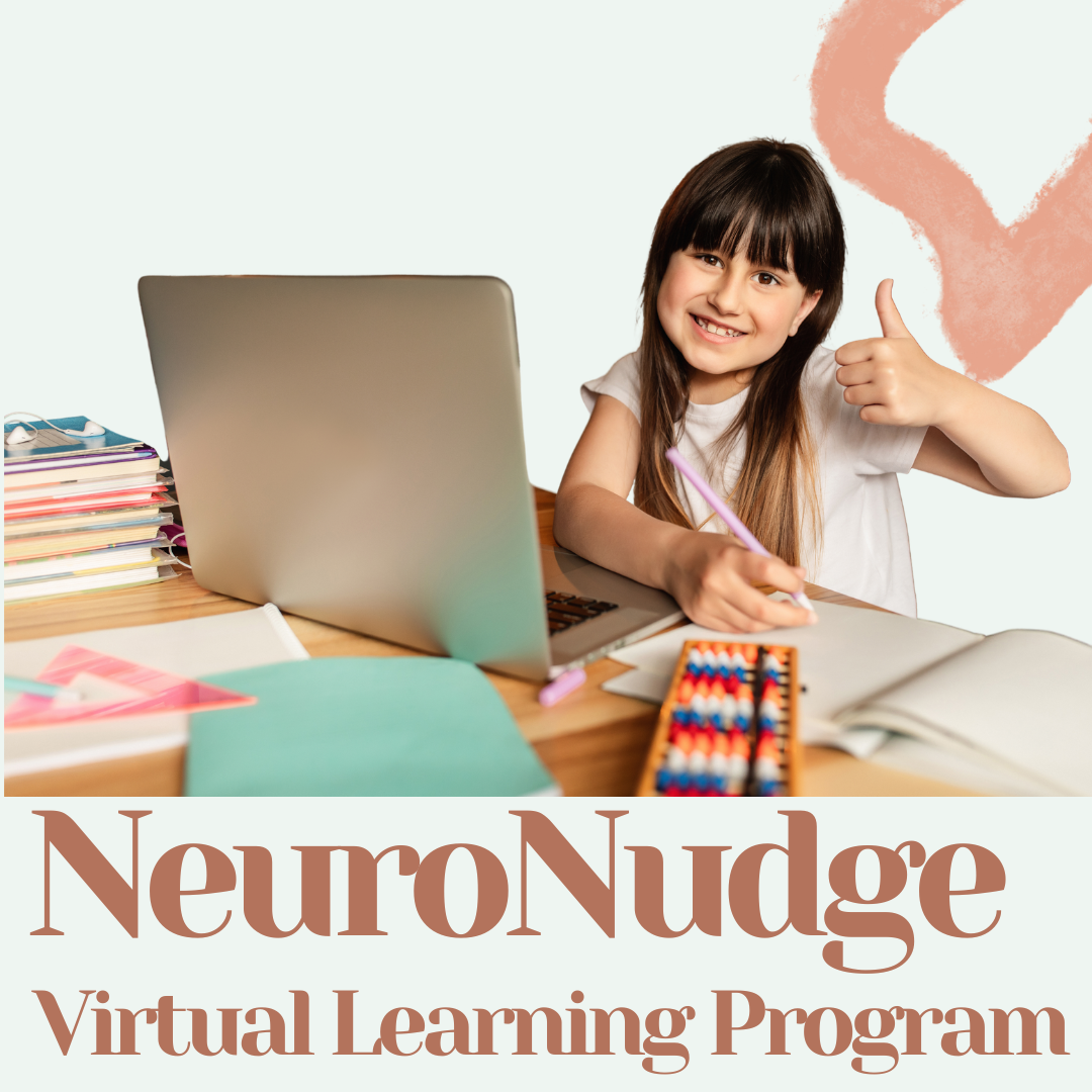 Virtual Learning Program Monthly Package