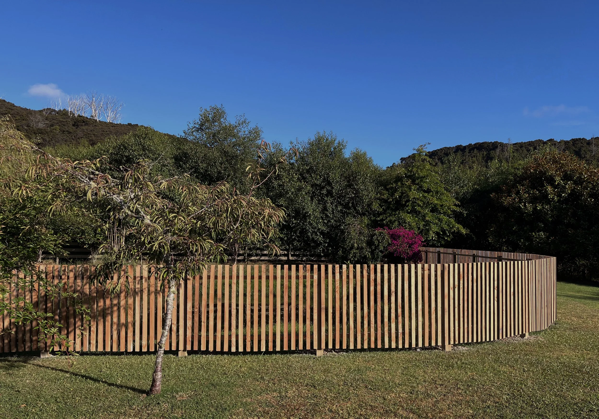 A backyard with a wooden fence, a green lawn, and various trees, with a backdrop of hills and a clear blue sky.