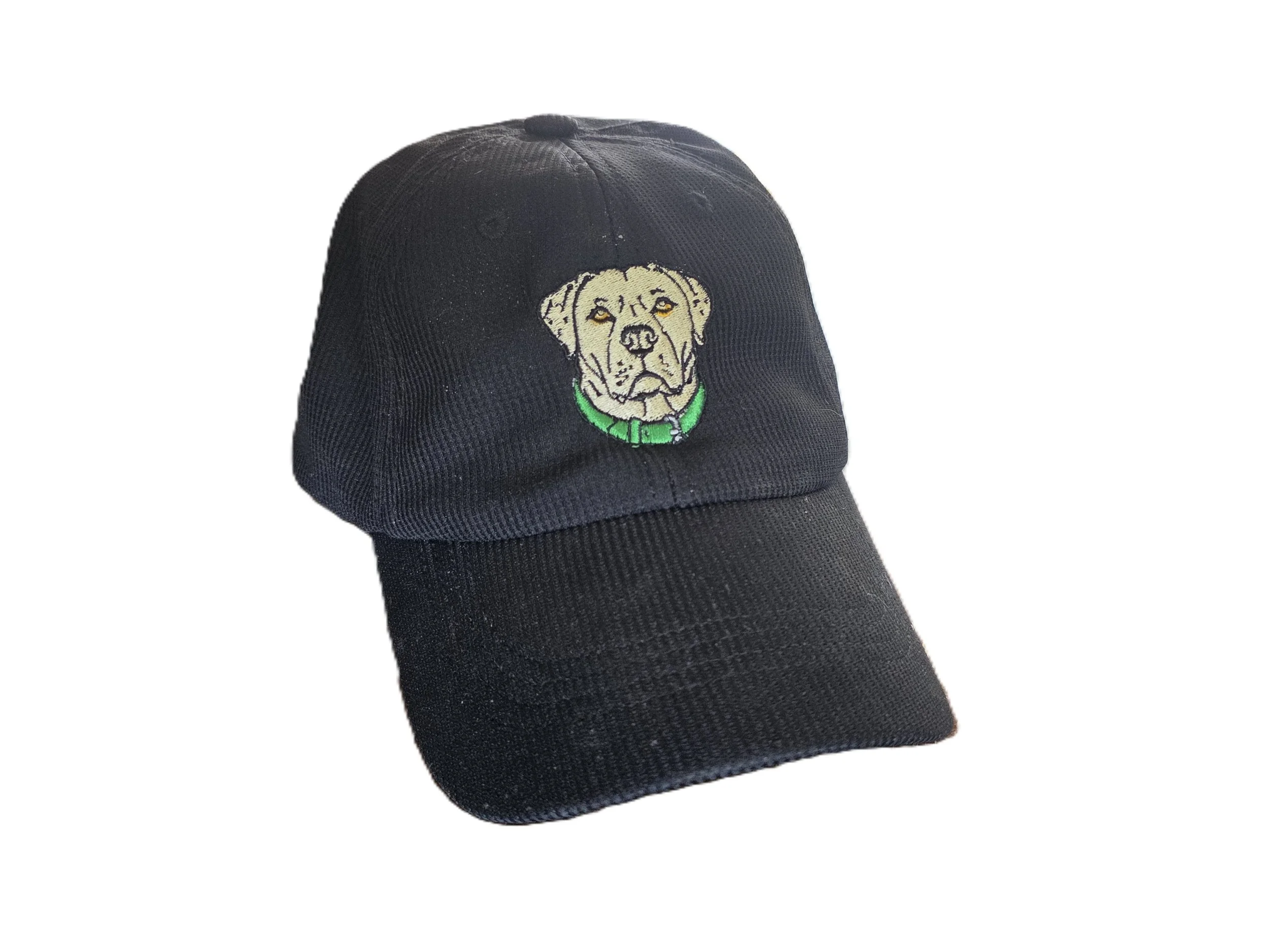 The Steady — Falkor Embroidered Cap