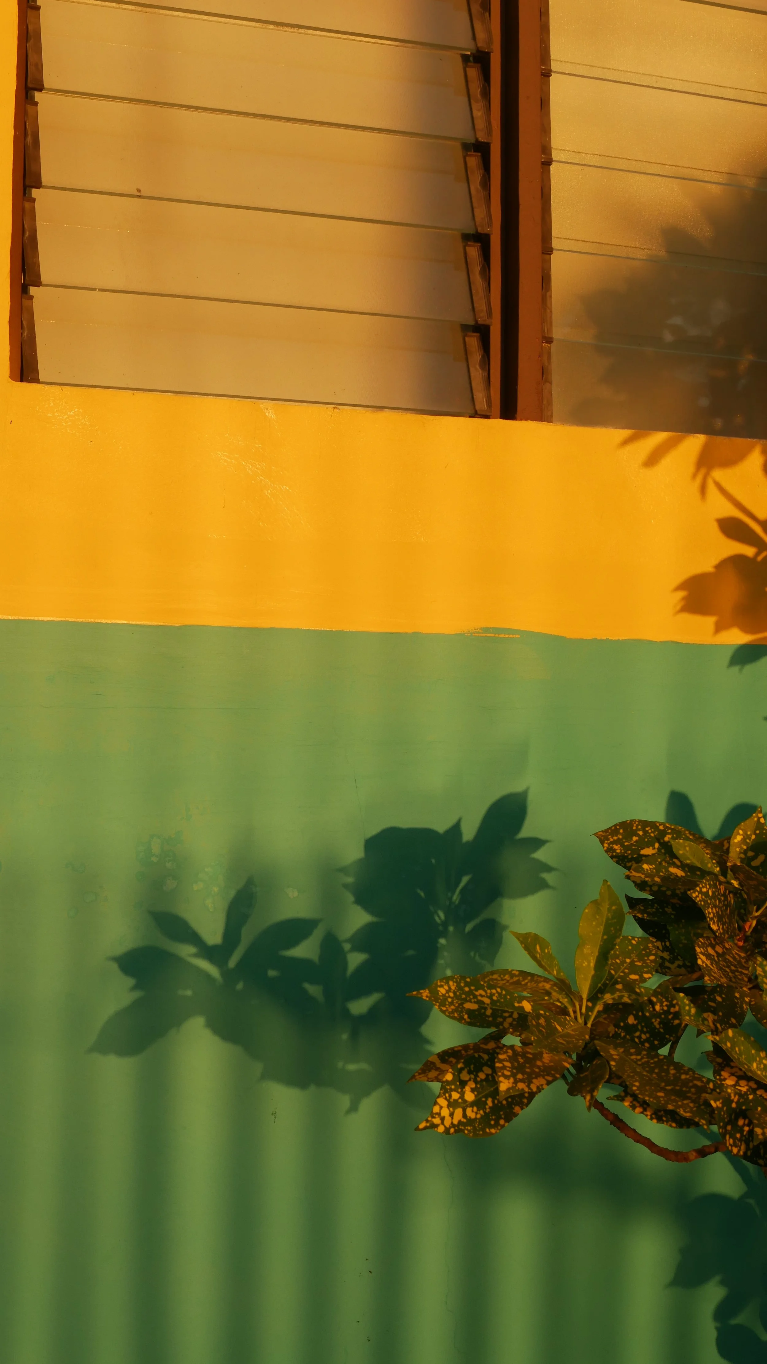 Das Bild zeigt einen farblich gestrichenen Gartenzaun mit horizontalen Linien in den Farben grün, gelb und weiß. Im Vordergrund sind grüne Blätter und eine Pflanze mit gelb-gesprenkelten Blättern sichtbar, die Schatten auf den Zaun werfen.