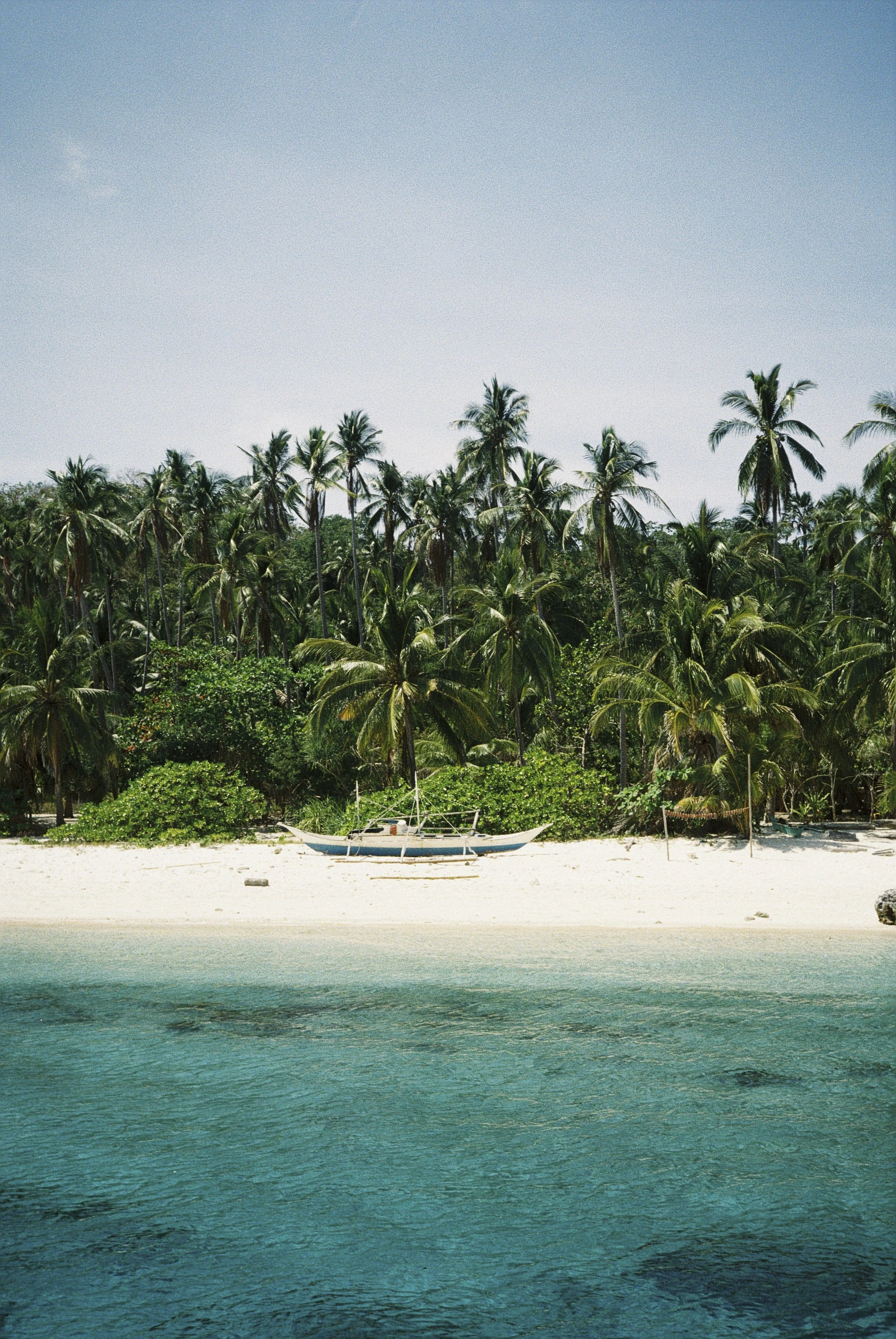 Eine Küstenlandschaft mit Palmen, ein Segelboot am Strand, weißer Sand und blauer Himmel.