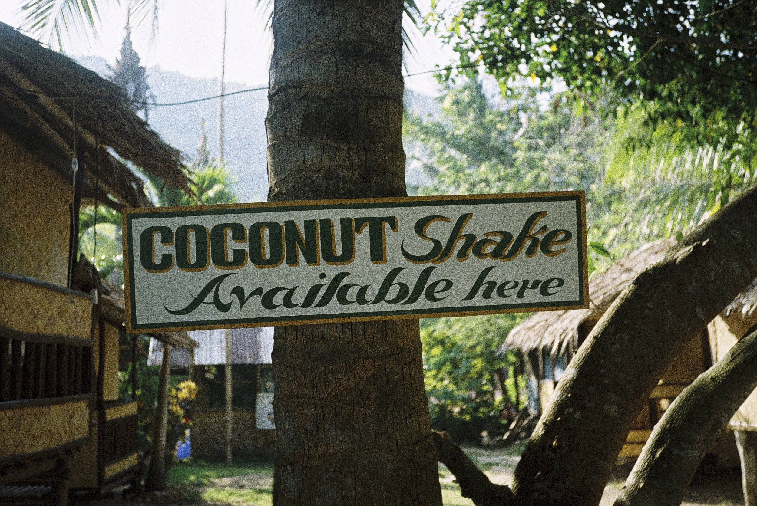Schilder mit der Aufschrift „Coconut Shake available here“ hängen an einem Baum in einem tropischen Ort, mit Hütte und grünen Bäumen im Hintergrund.