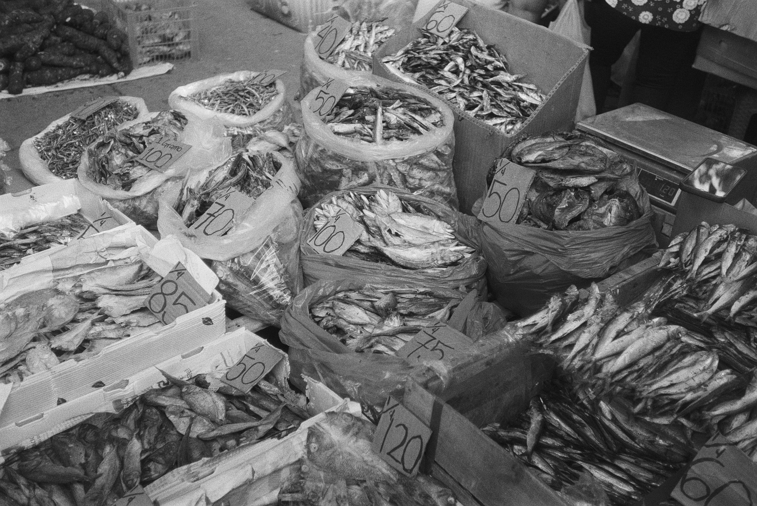 Fischverkaufstheke auf einem Markt mit verschiedenen Fischen in Säcken und auf Flächen, Preisschilder in Euro, keine Farbe, Schwarz-Weiß-Foto.