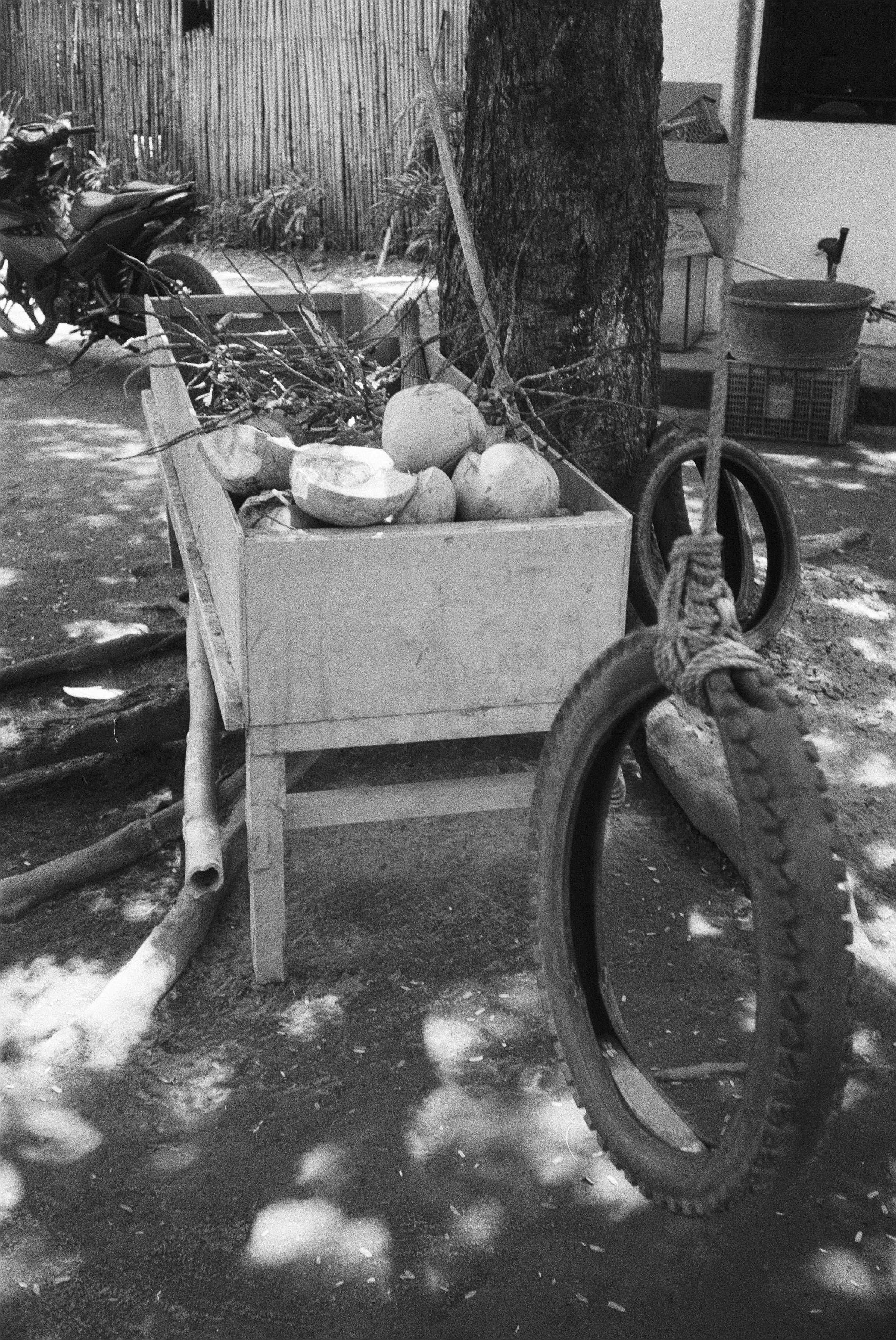 Ein Kinderwagen, der voll mit Kürbissen, Ästen und anderem Holzmaterial ist, steht auf einer unbefestigten Fläche, im Hintergrund ist ein Baumstamm, ein Fahrrad, ein Holzzaun und verschiedene Gegenstände zu sehen.