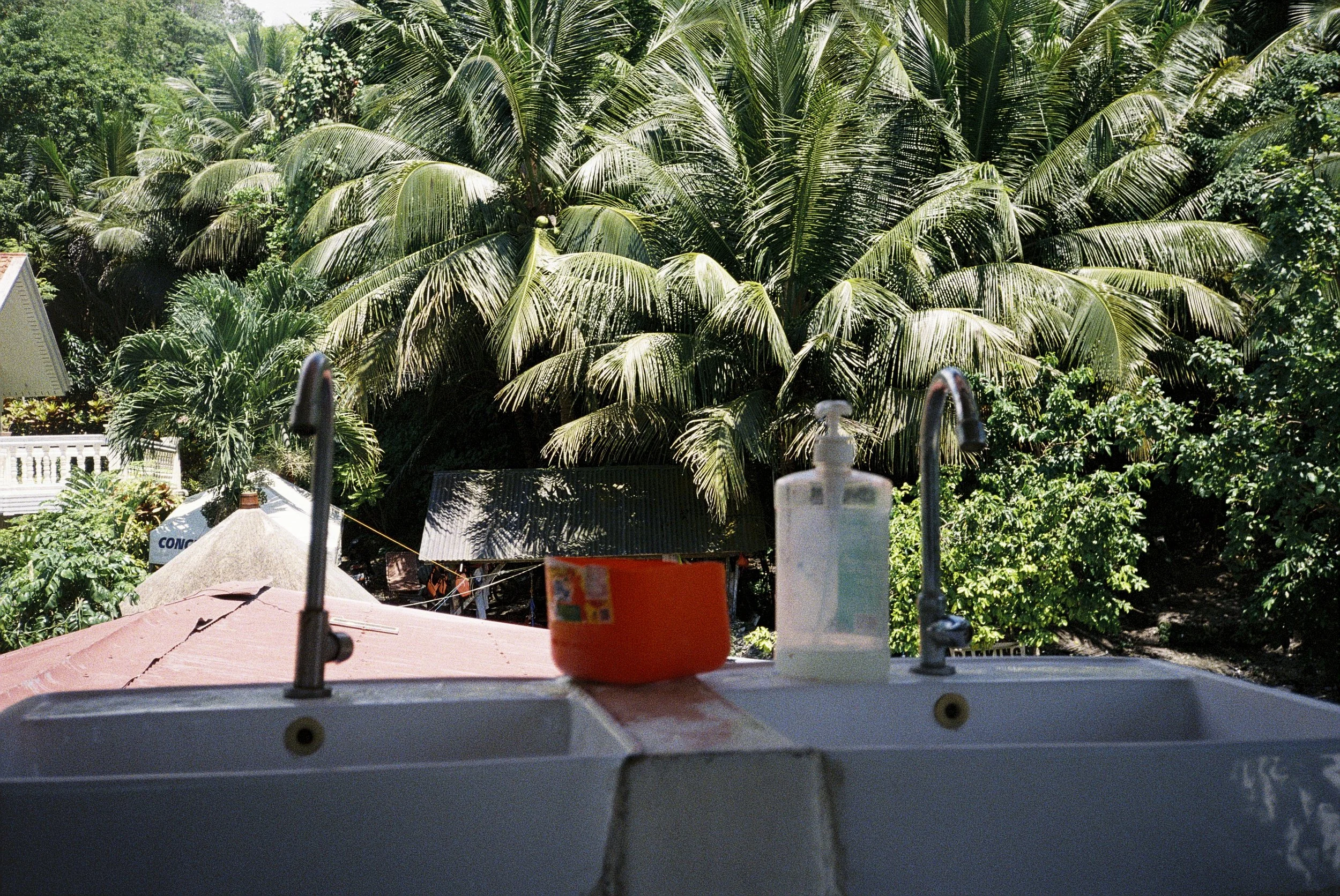 Blick von einem Balkon auf einen dichten Dschungel mit vielen Palmen und anderen Bäumen.