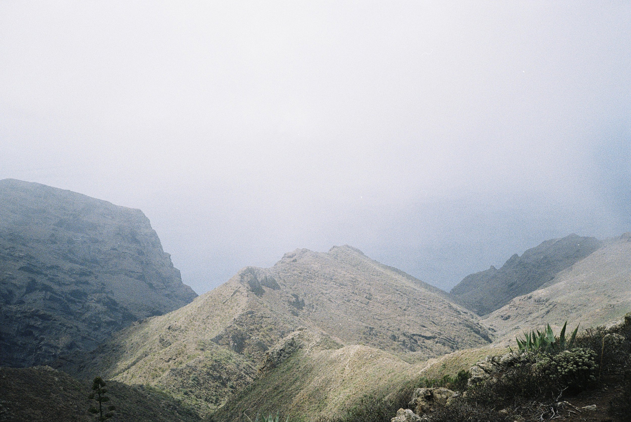 Berglandschaft mit steilen, kargen Hügeln und einigen Pflanzen im Vordergrund