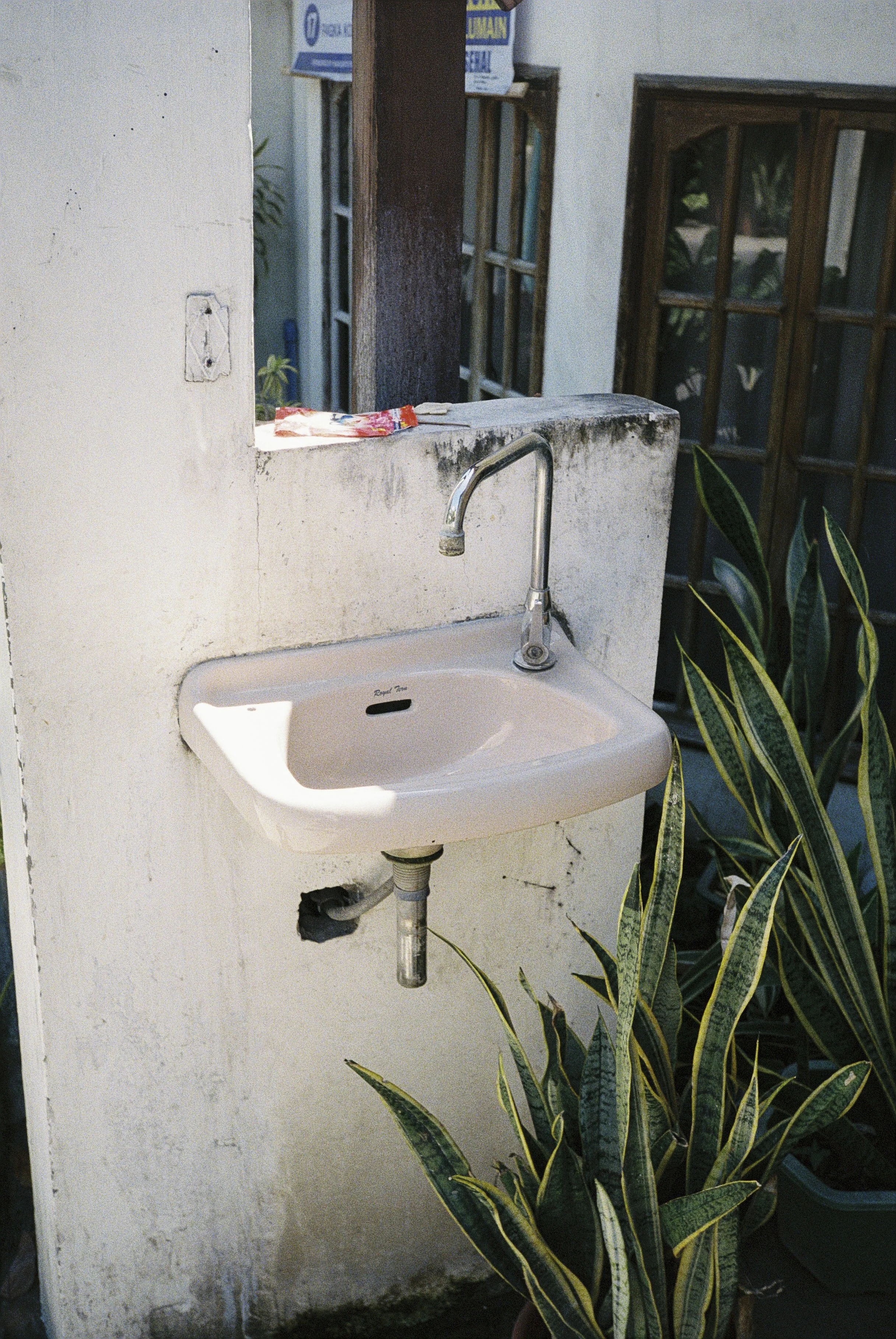 Ein weißes Waschbecken mit Wasserhahn an einer Wand, im Hintergrund Fenster und Türen, und große grüne Pflanzen neben der Wand.