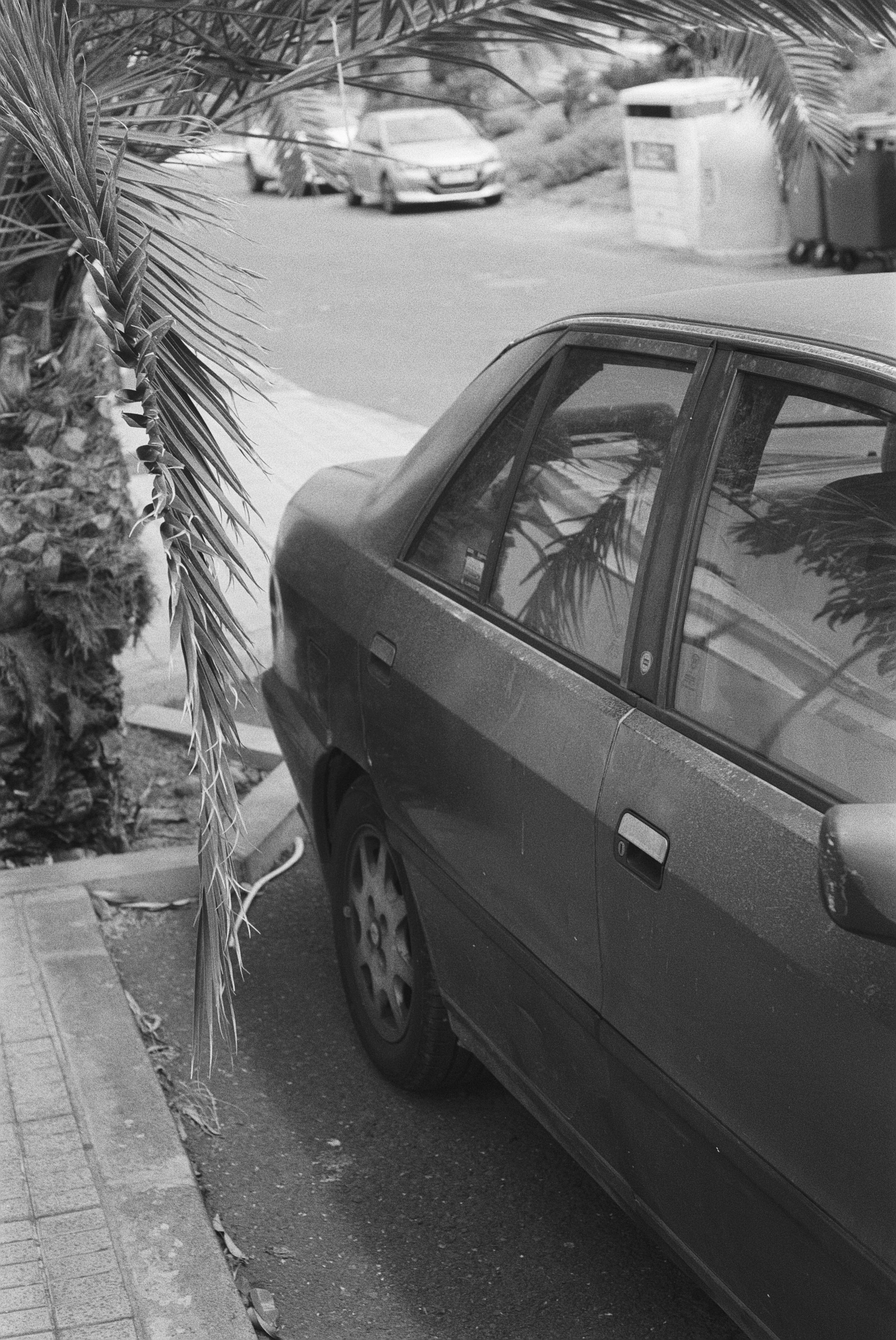 Schwarzer Auto parkte am Straßenrand, im Vordergrund eine Palme und ein Gehweg. Im Hintergrund sind weitere Fahrzeuge, Mülltonnen und Ausrüstung sichtbar.