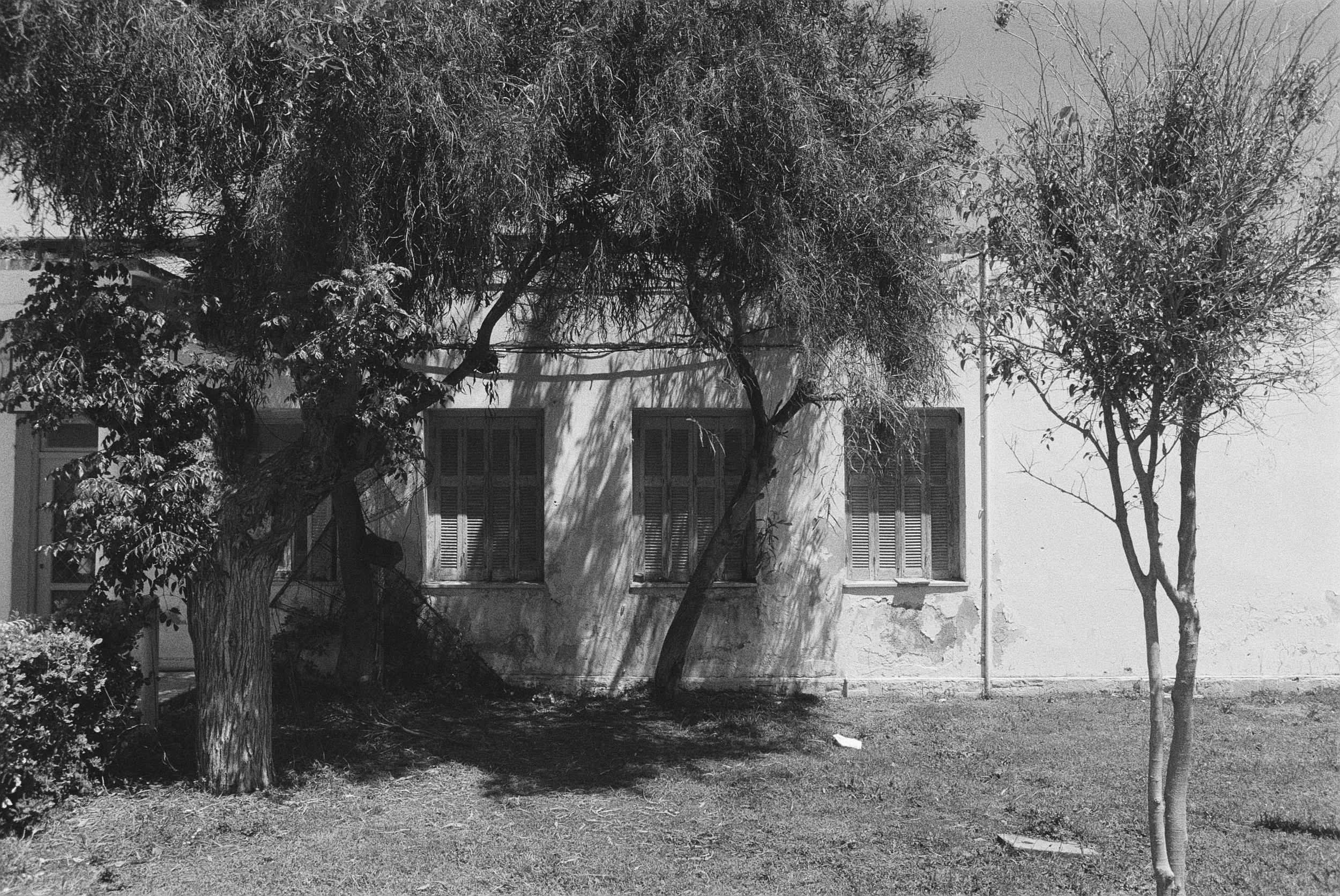 Schwarz-Weiß-Foto eines Hauses mit mehreren Fenstern, umgeben von Bäumen im Garten, einige Bäume sind knorrig und alt.