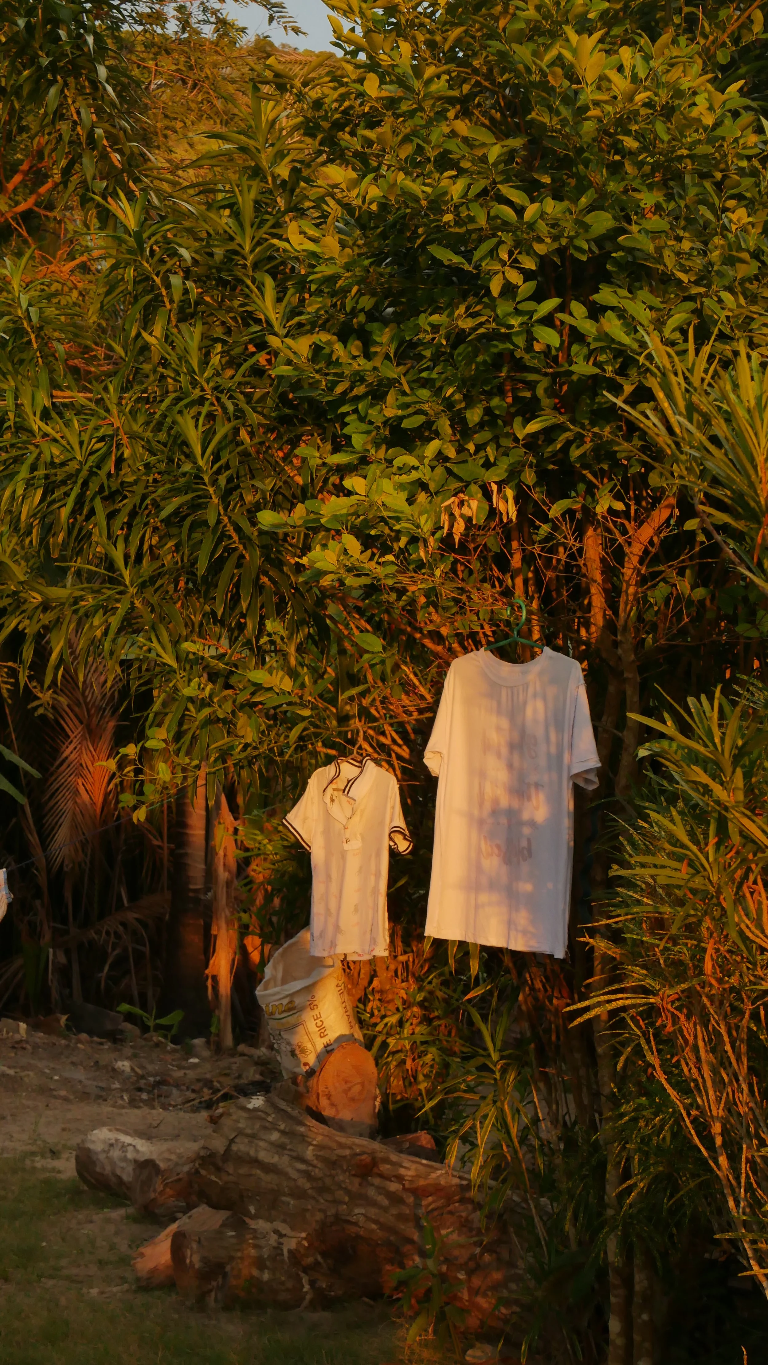 Zwei T-Shirts hängen an einem Baum in einem Garten bei Sonnenuntergang. Zusammen mit einem Sack und einem Holzstück auf dem Boden.