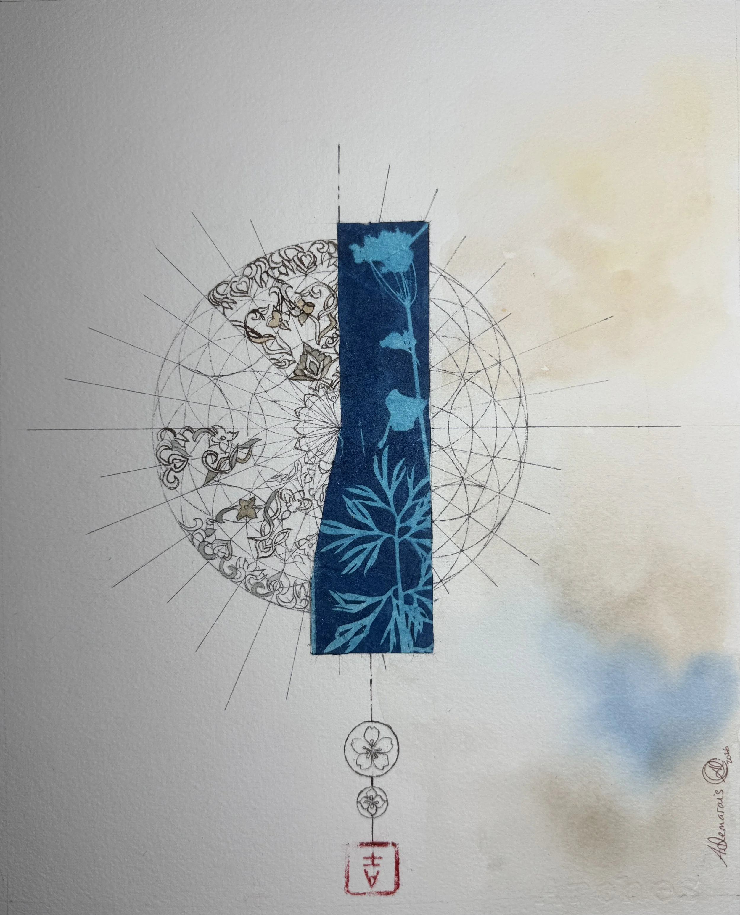 Fragments de jardin I
