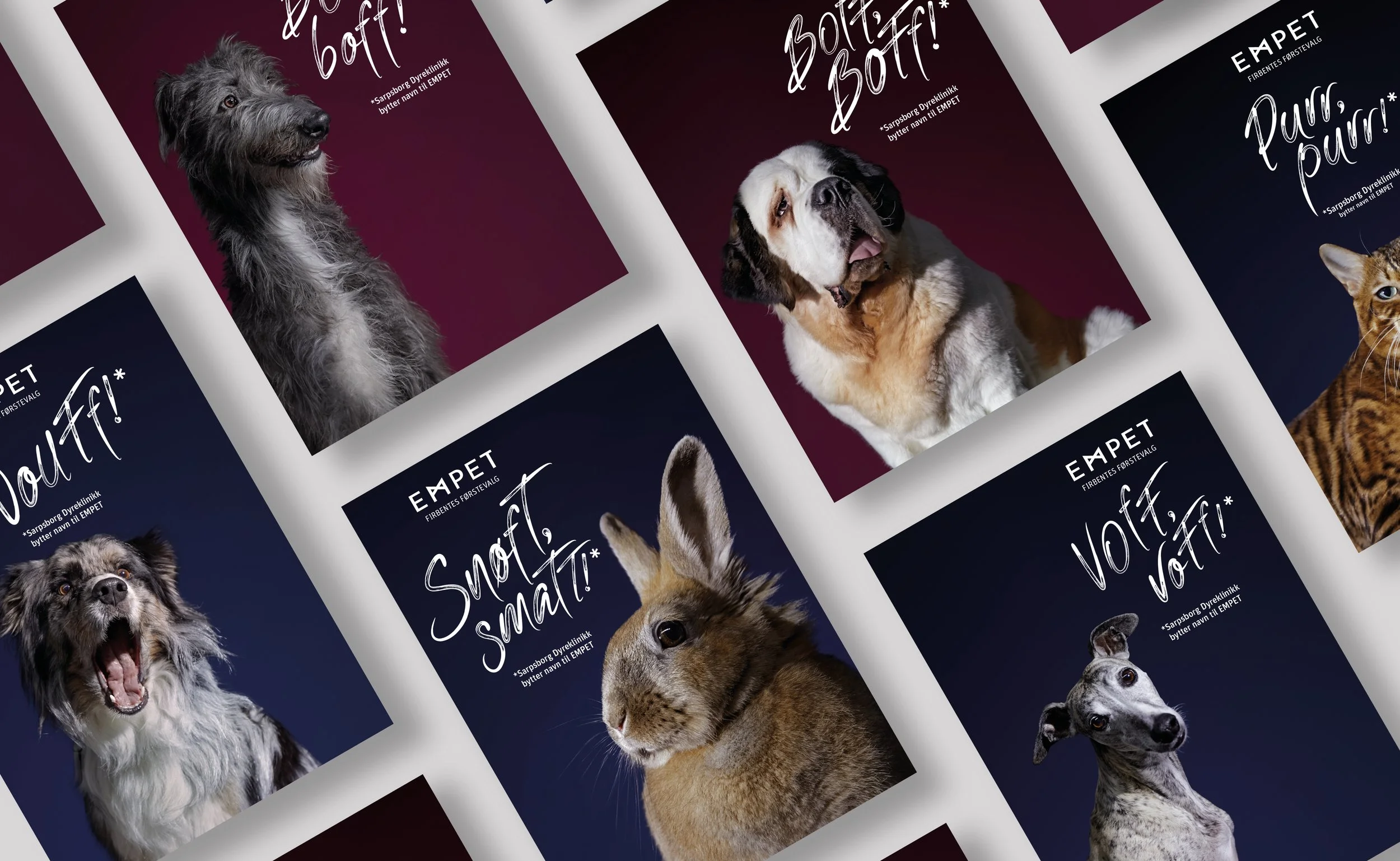 Giving a veterinary campaign its own voice
