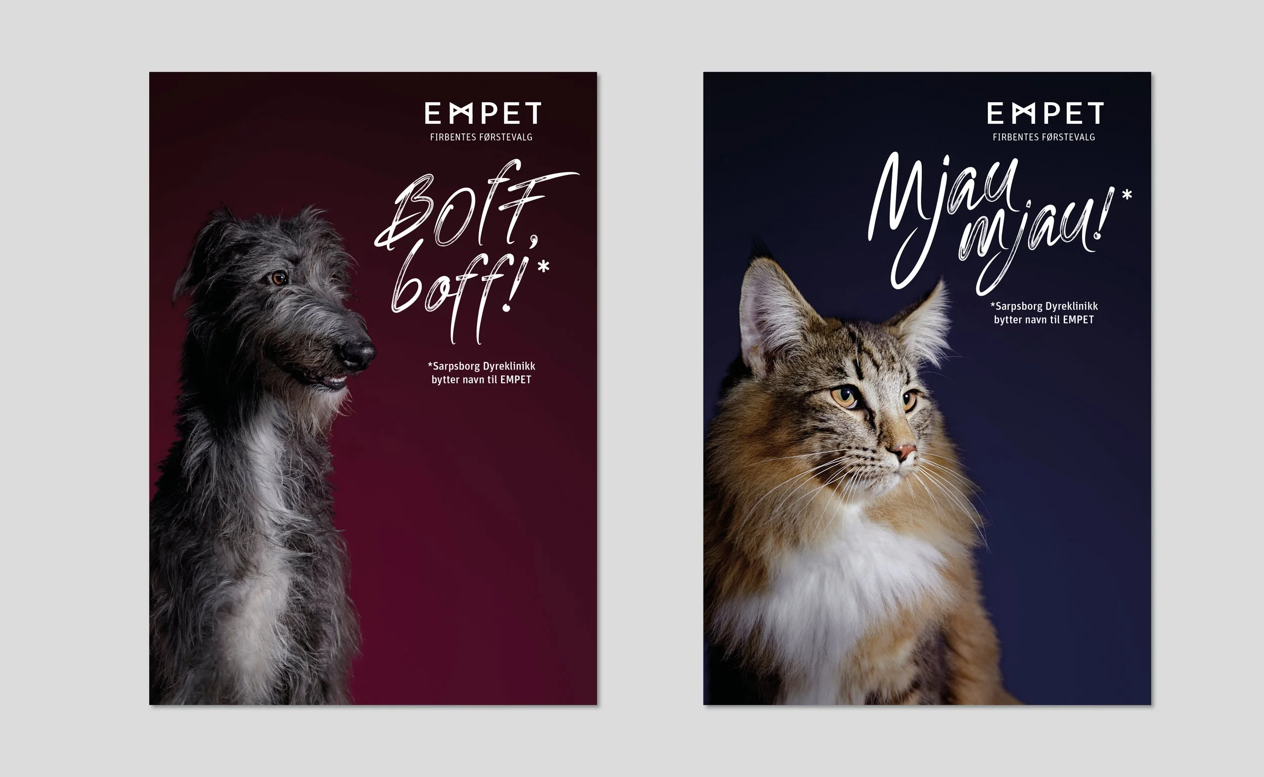 Empet9.jpg