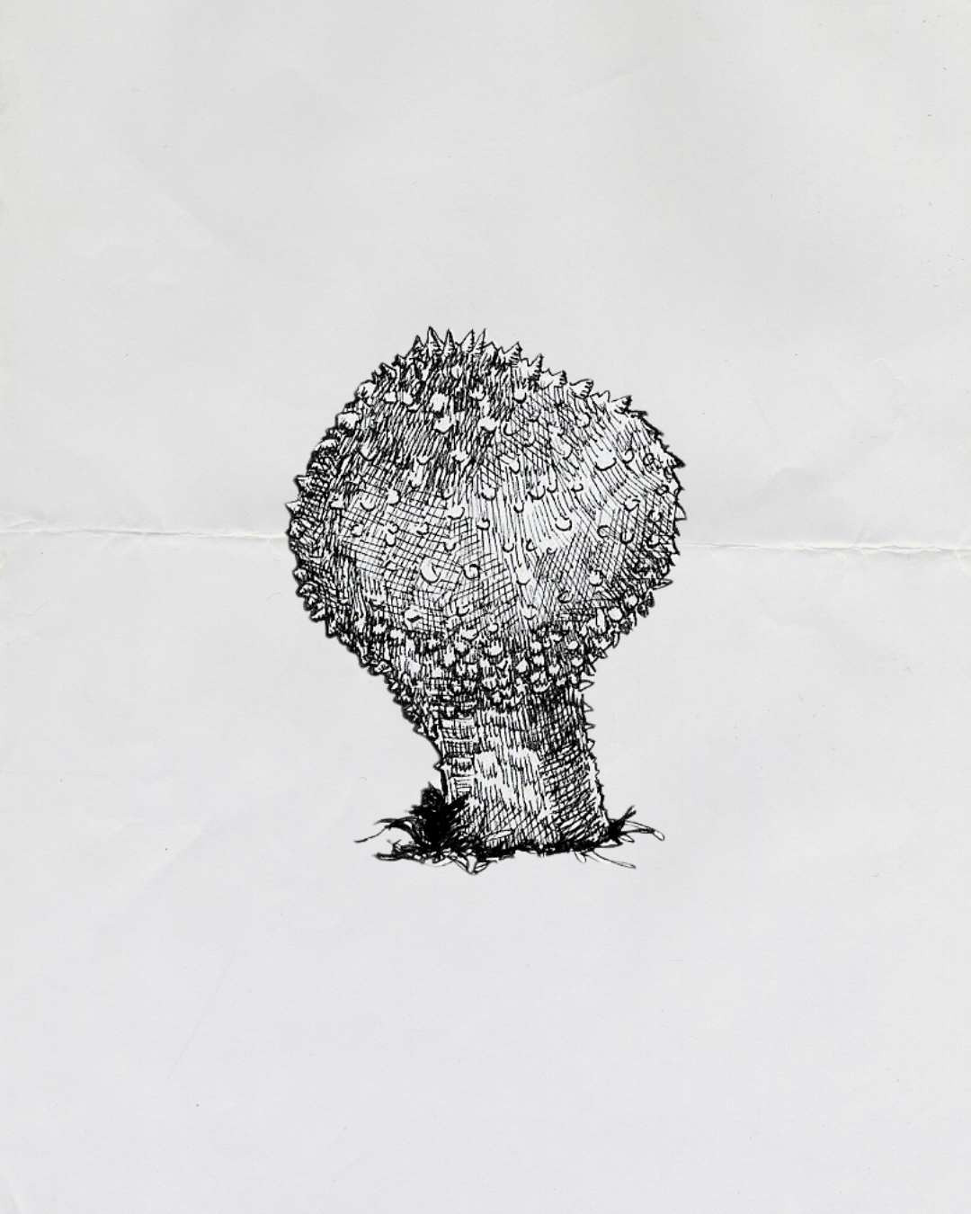 Common Puffball