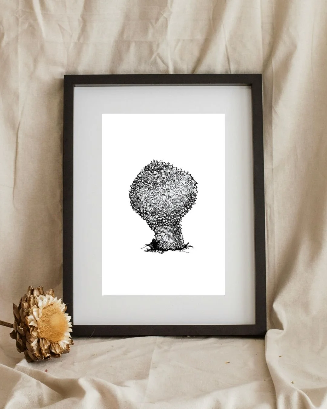 Common Puffball A6 - Framed.jpg