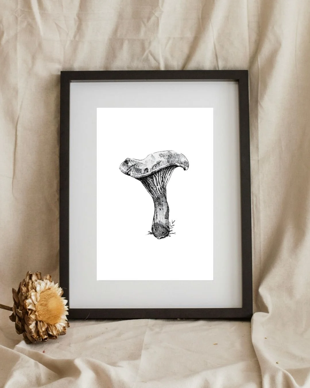 Chanterelle A6 - Framed.jpg