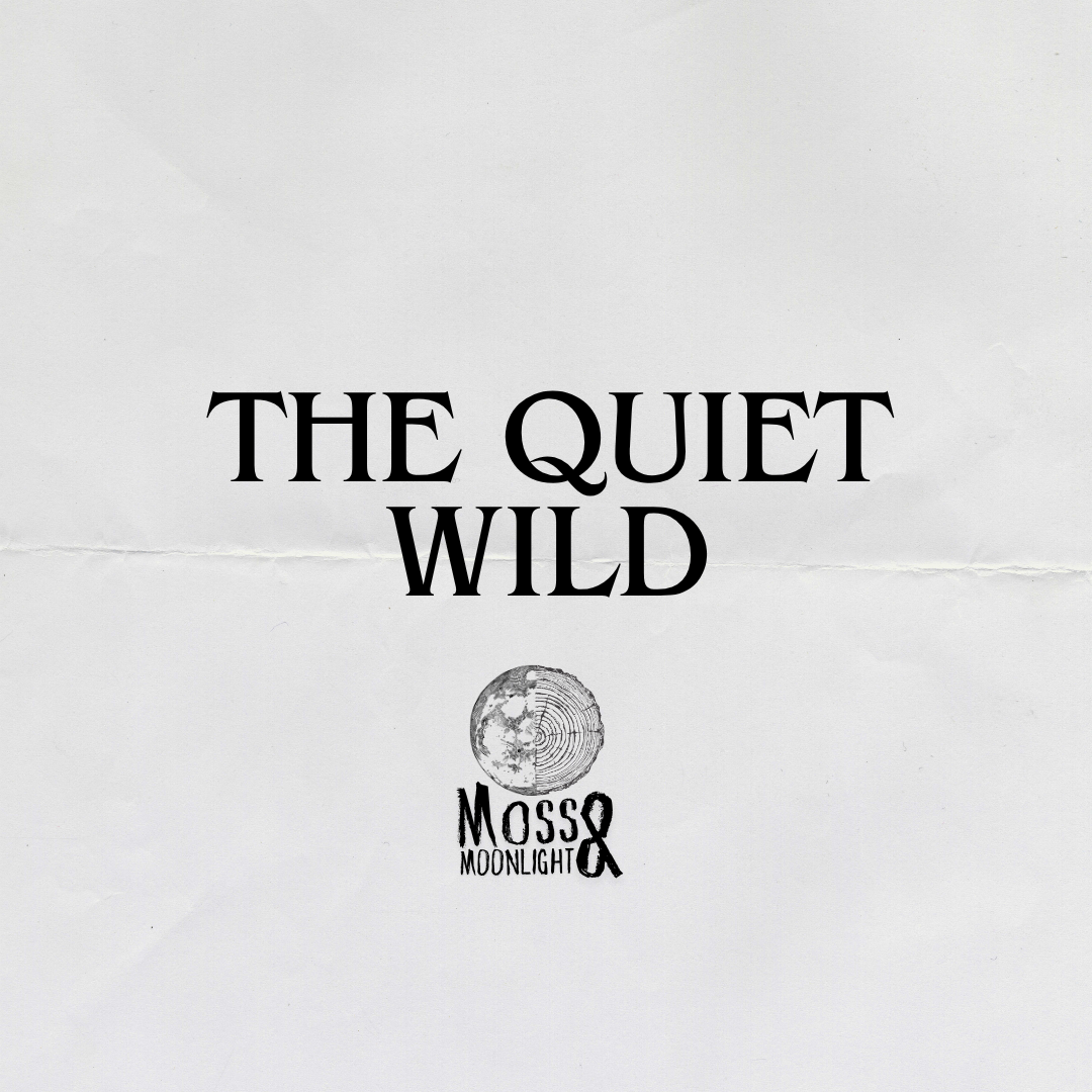 The Quiet Wild