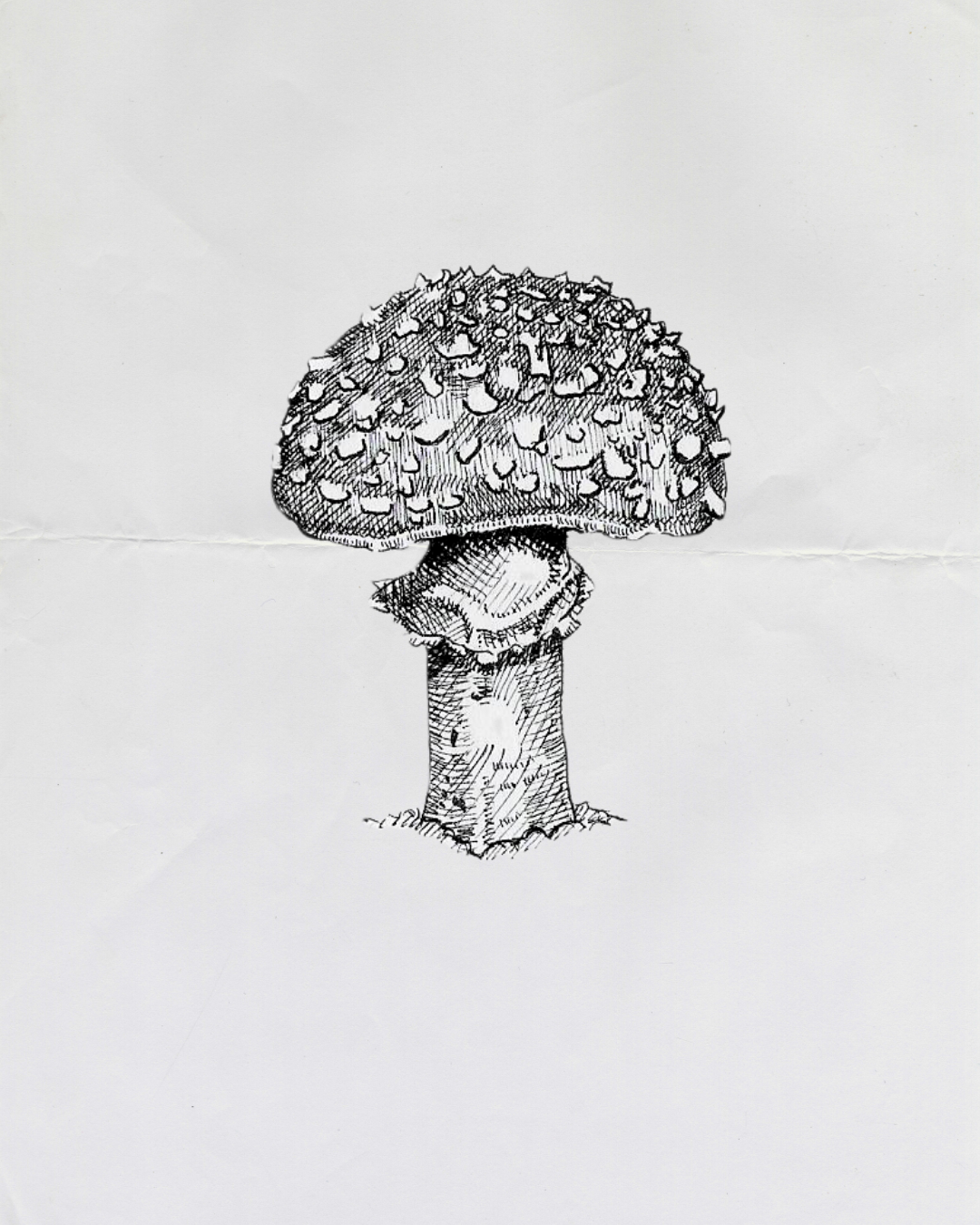 Fly Agaric