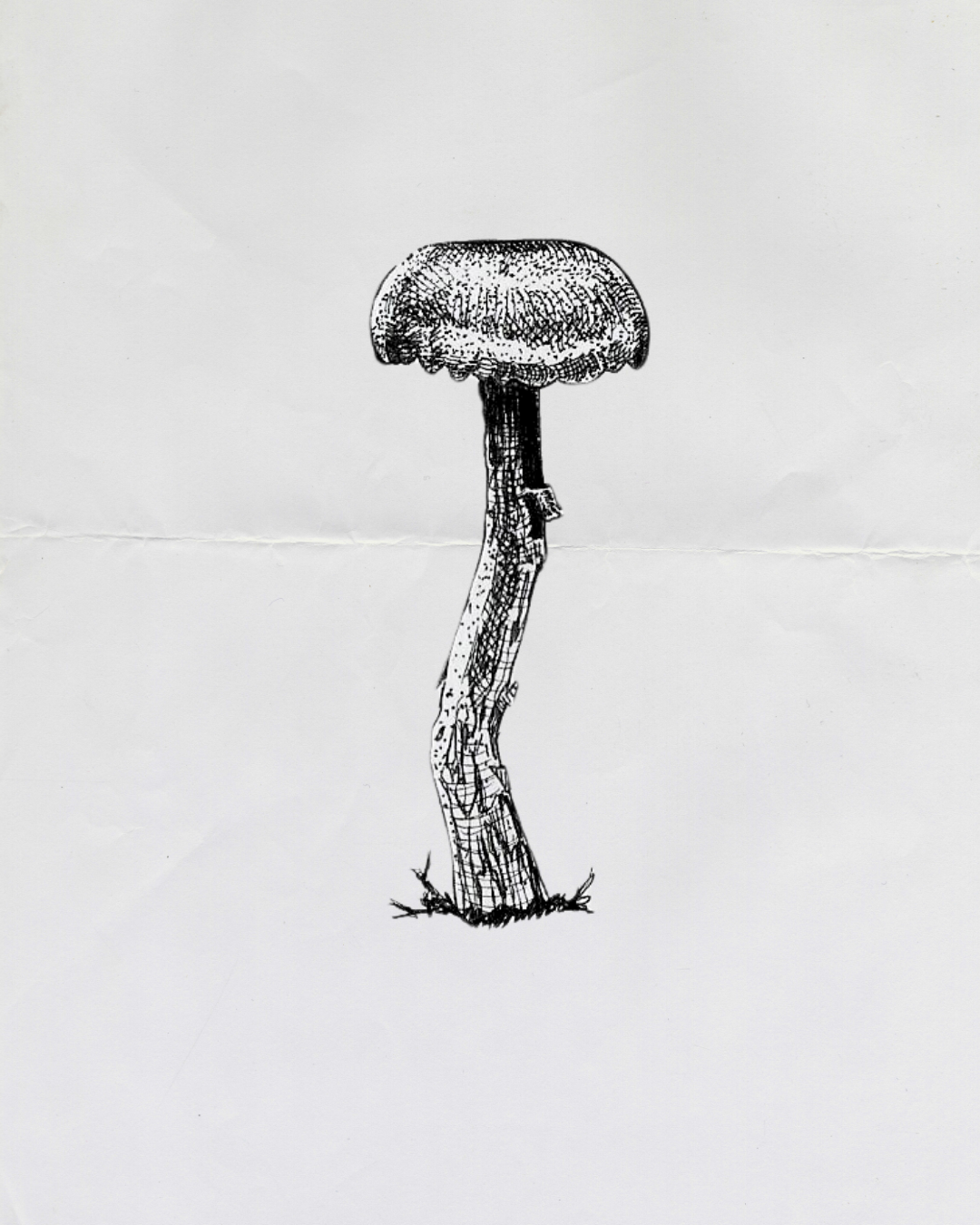 Amethyst Deceiver
