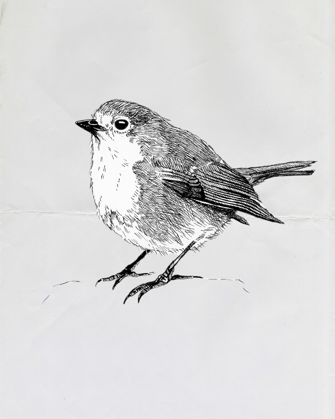 Robbin