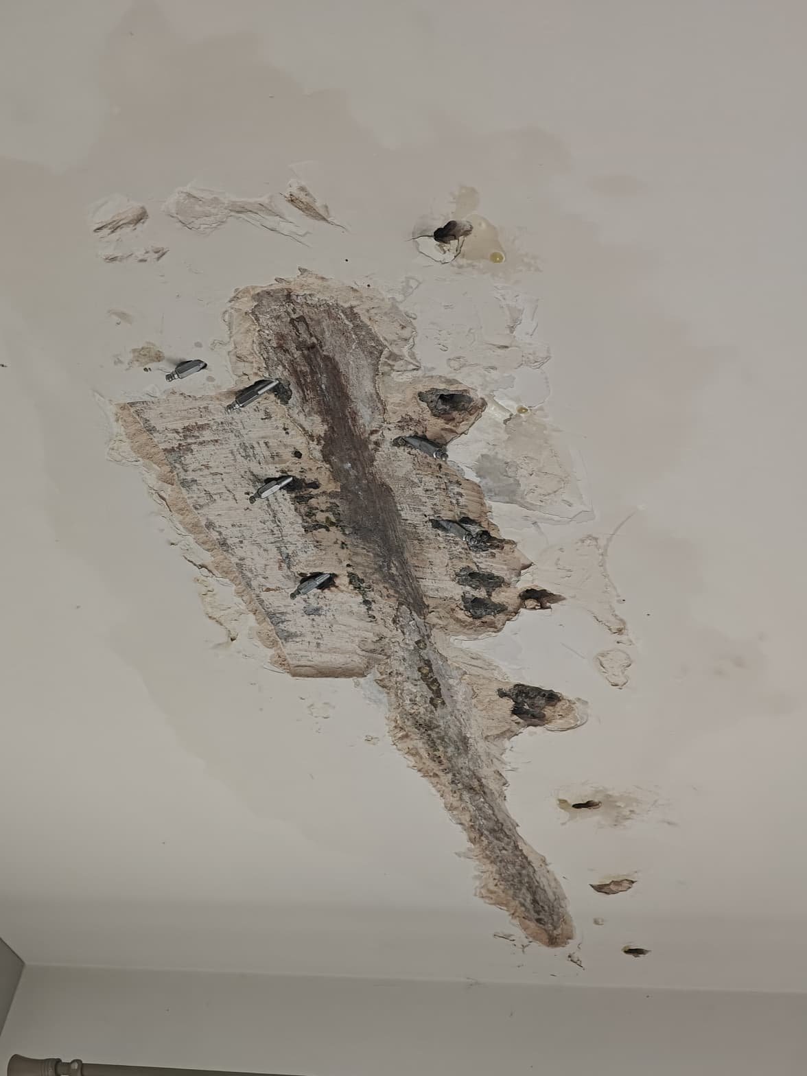Ceiling with water damage and peeling paint, exposed drywall with dark stains, and multiple screws.