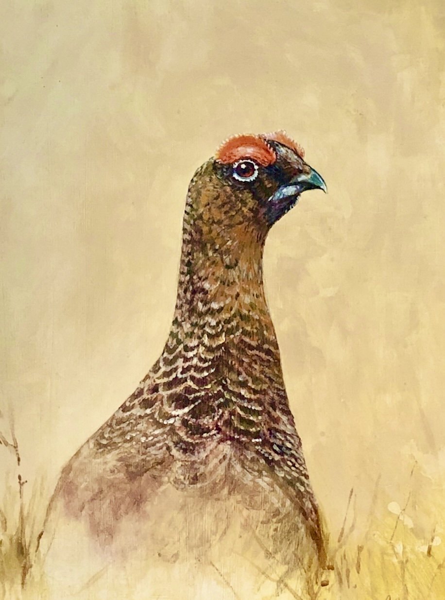 Exquisite Hooligan by Tim Niall-Harris artist.