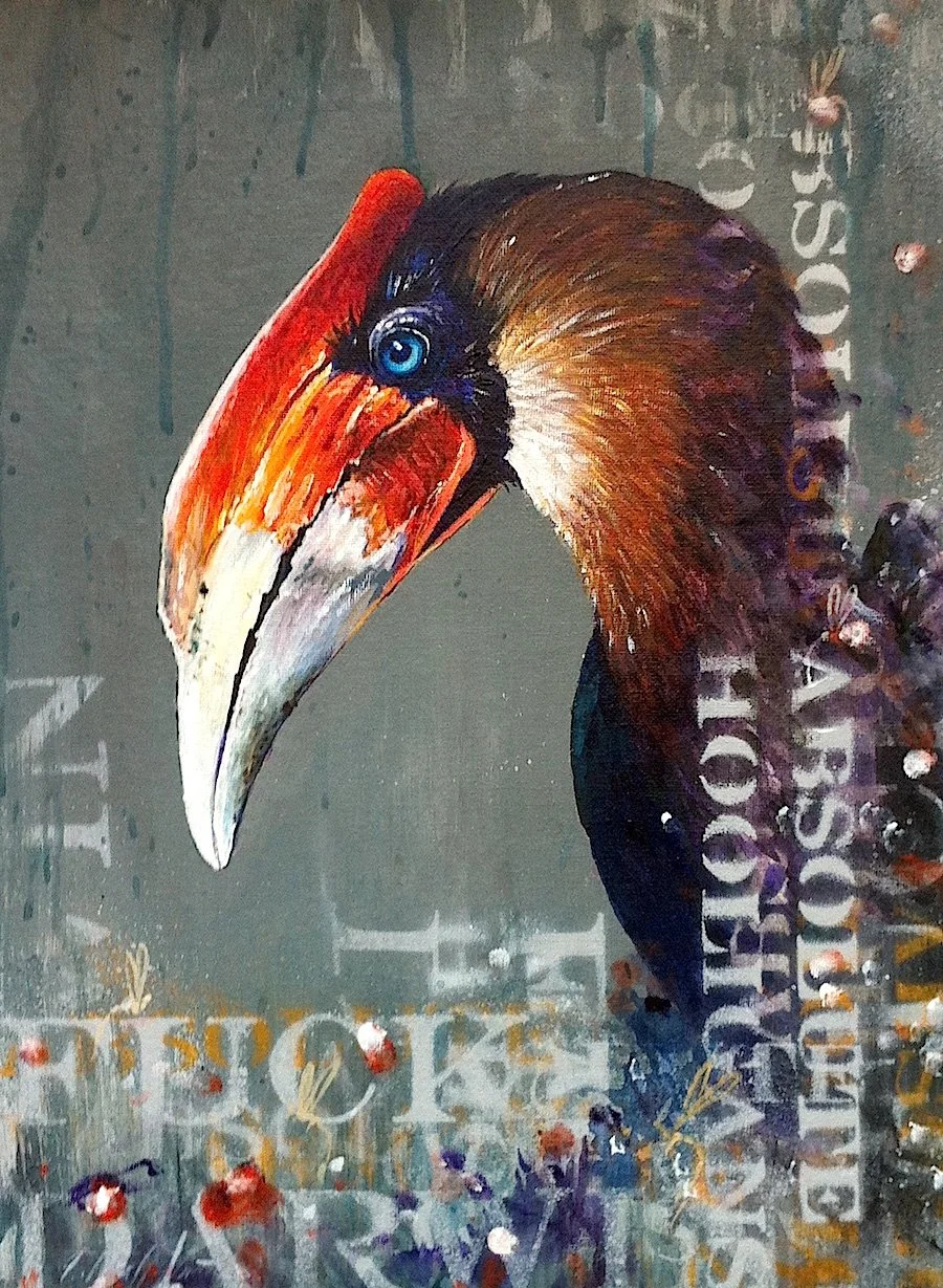 Rufous Hornbill - Acrylic, spray paint, ink, oil paint, graffiti cleaner and detritus on canvas.
