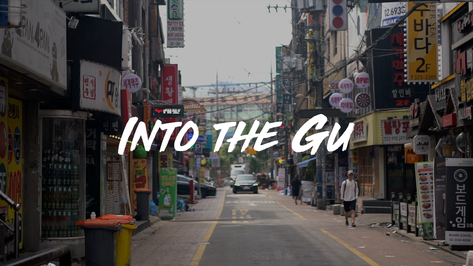 Into the Gu WEbsite.png