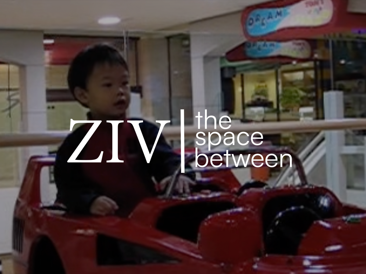 ZIV LOGO WEBSITE.png