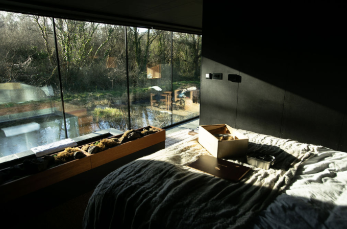 A modern bedroom with a large window overlooking a garden with trees and greenery, sunlit bed with a fluffy blanket, and a wooden box on the bed surrounded by a few items.