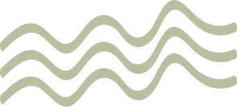 Four wavy beige lines on a black background