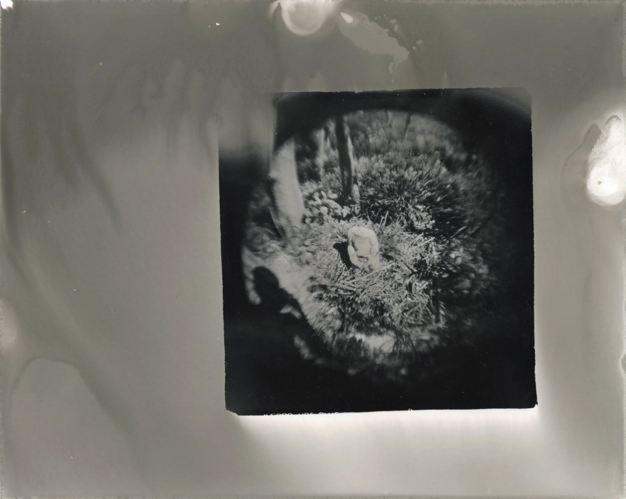 Untitled, 2018. Pseudosolarized Gelatin-Silver Print