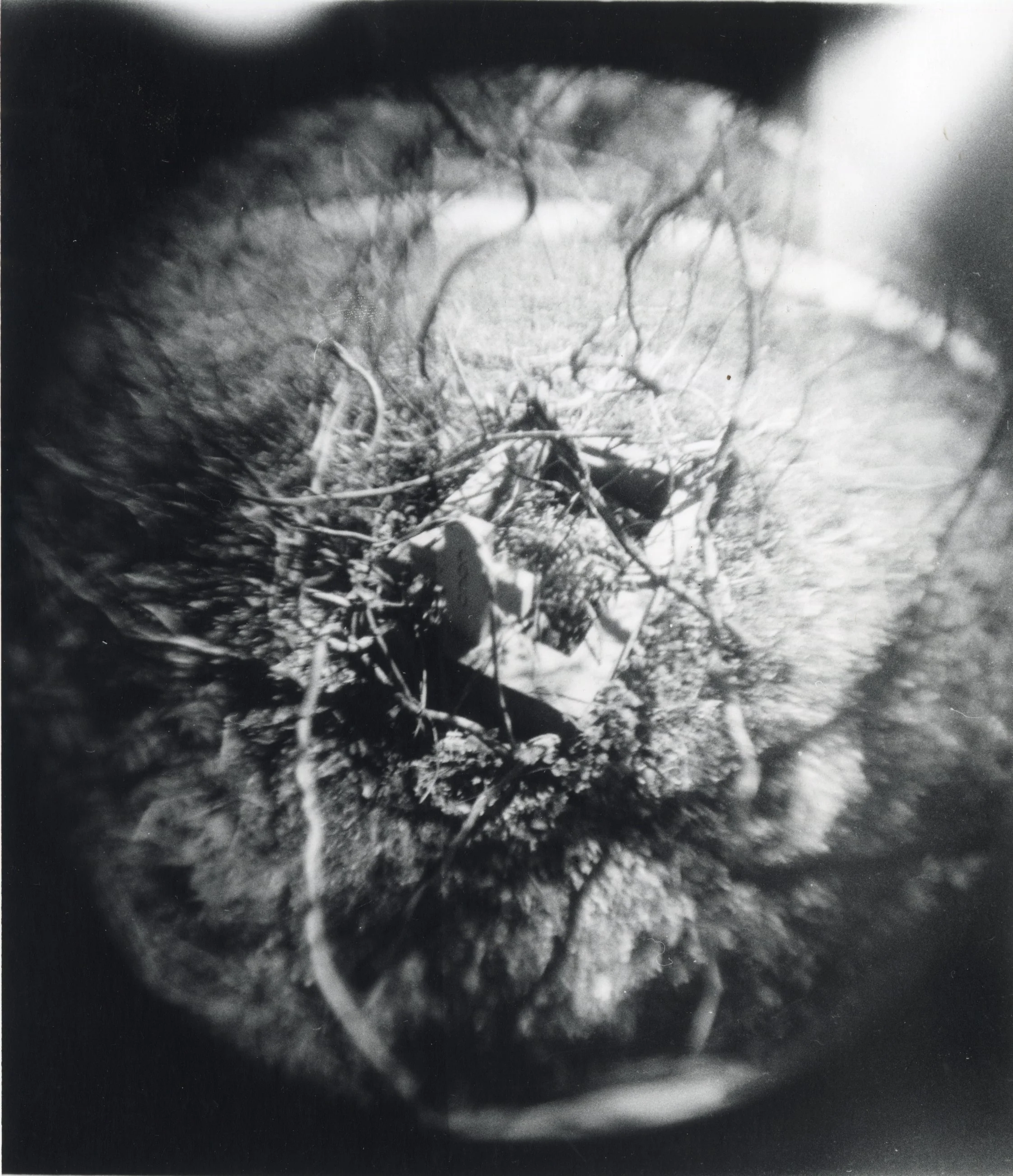 Untitled, 2018. Gelatin-Silver Print