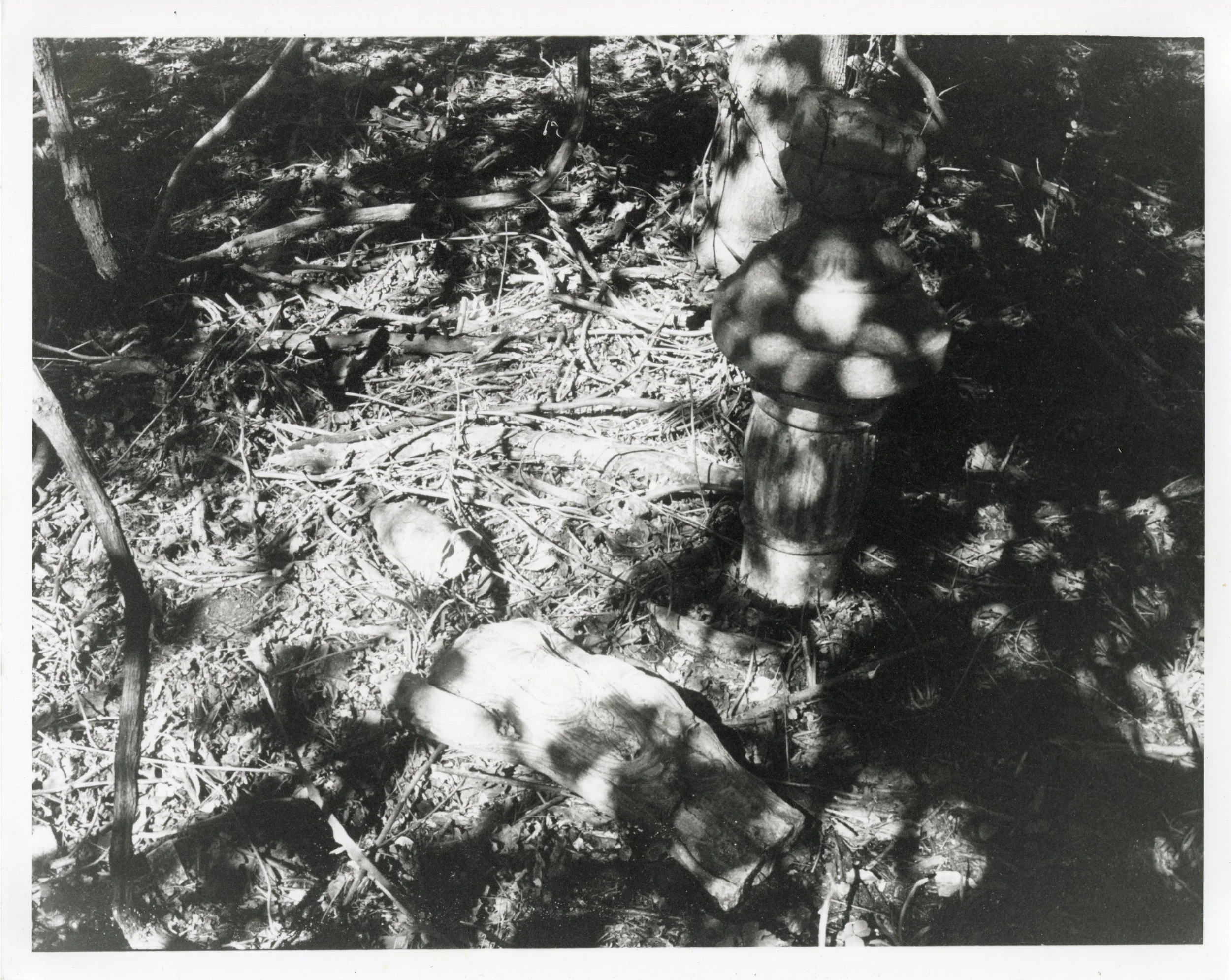 Kuan-Yin, 2024. Gelatin-Silver Print
