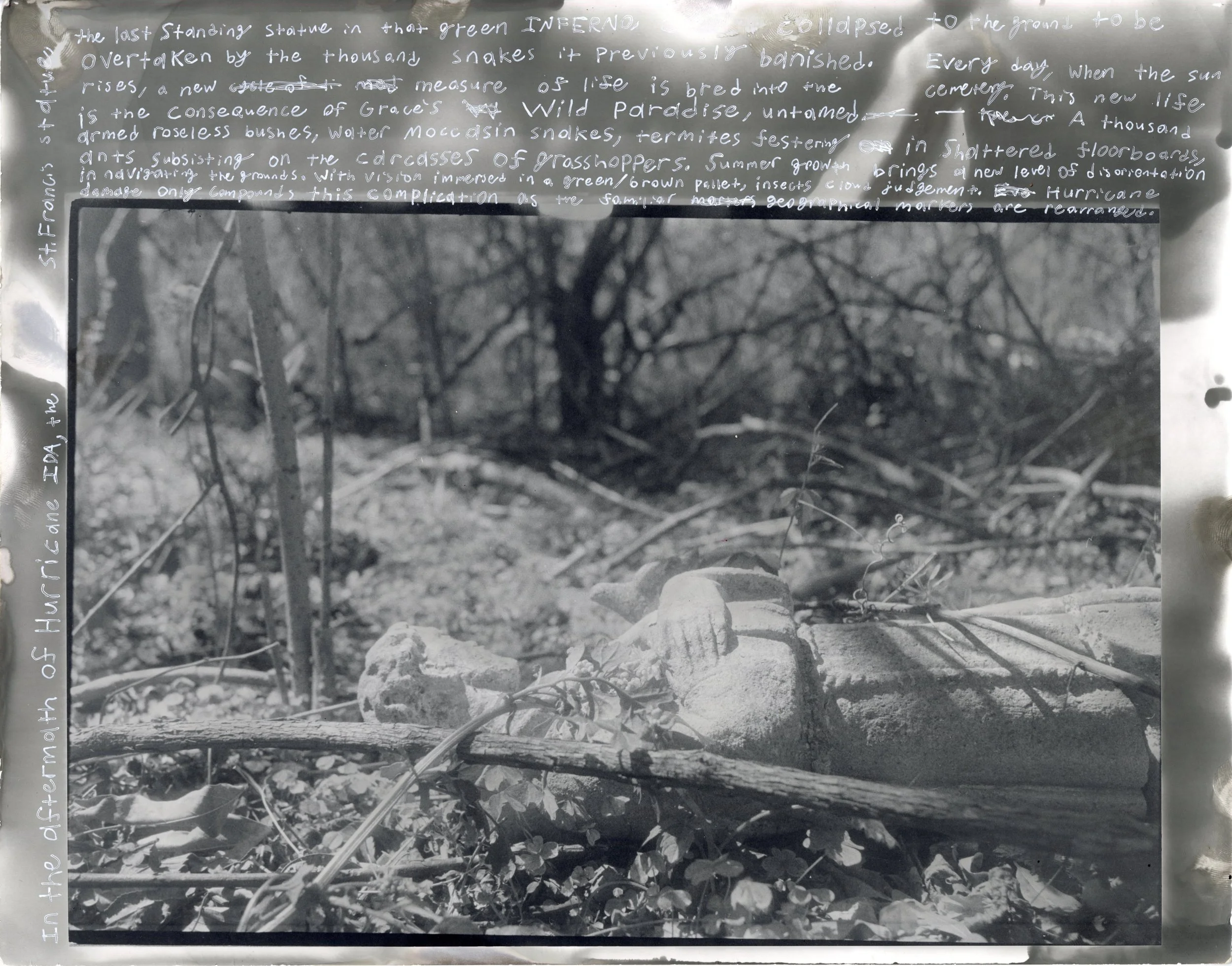 Footnotes on St. Francis, 2022. Ink on Pseudosolarized Gelatin-Silver Print