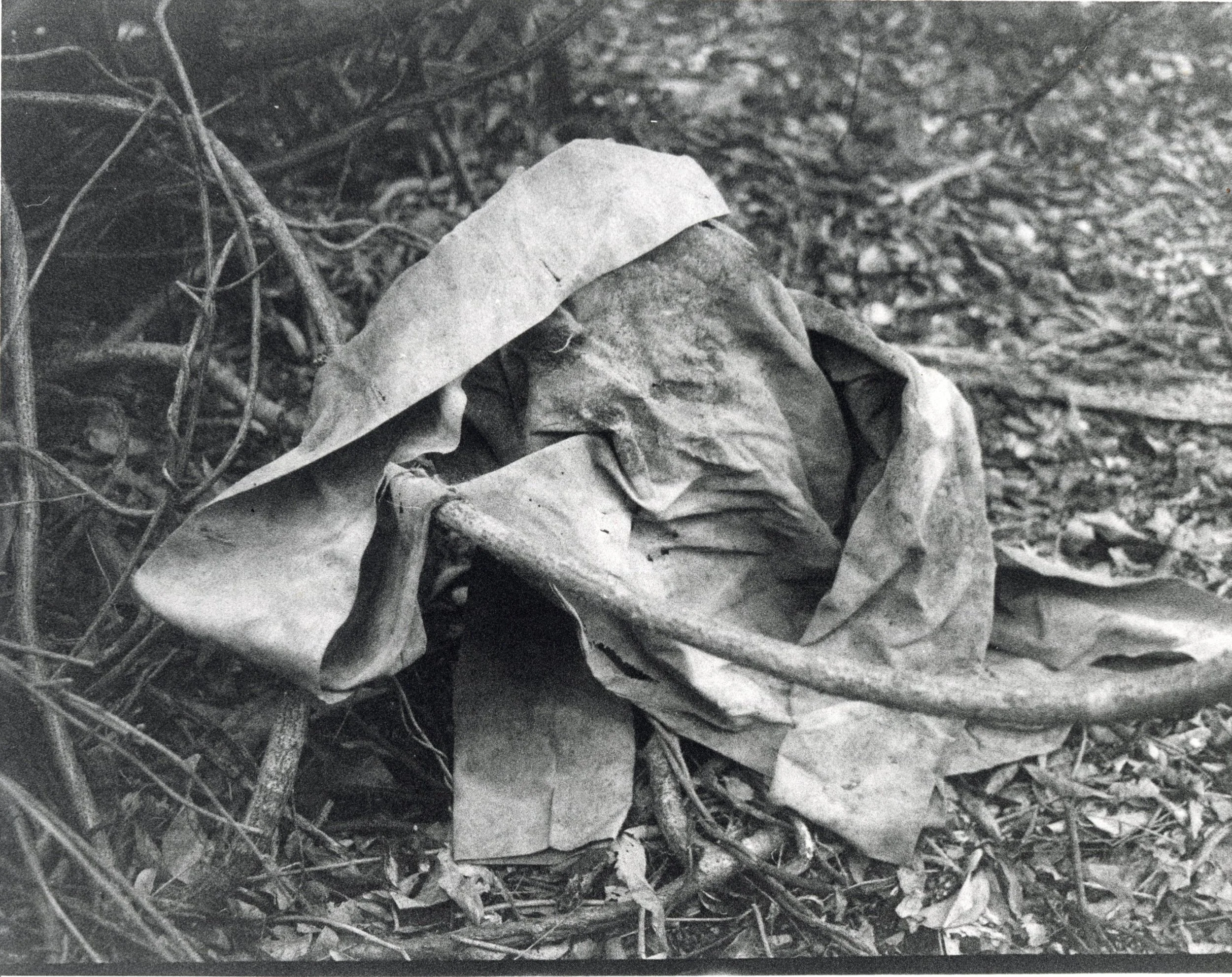 Ruins of a Man, 2023