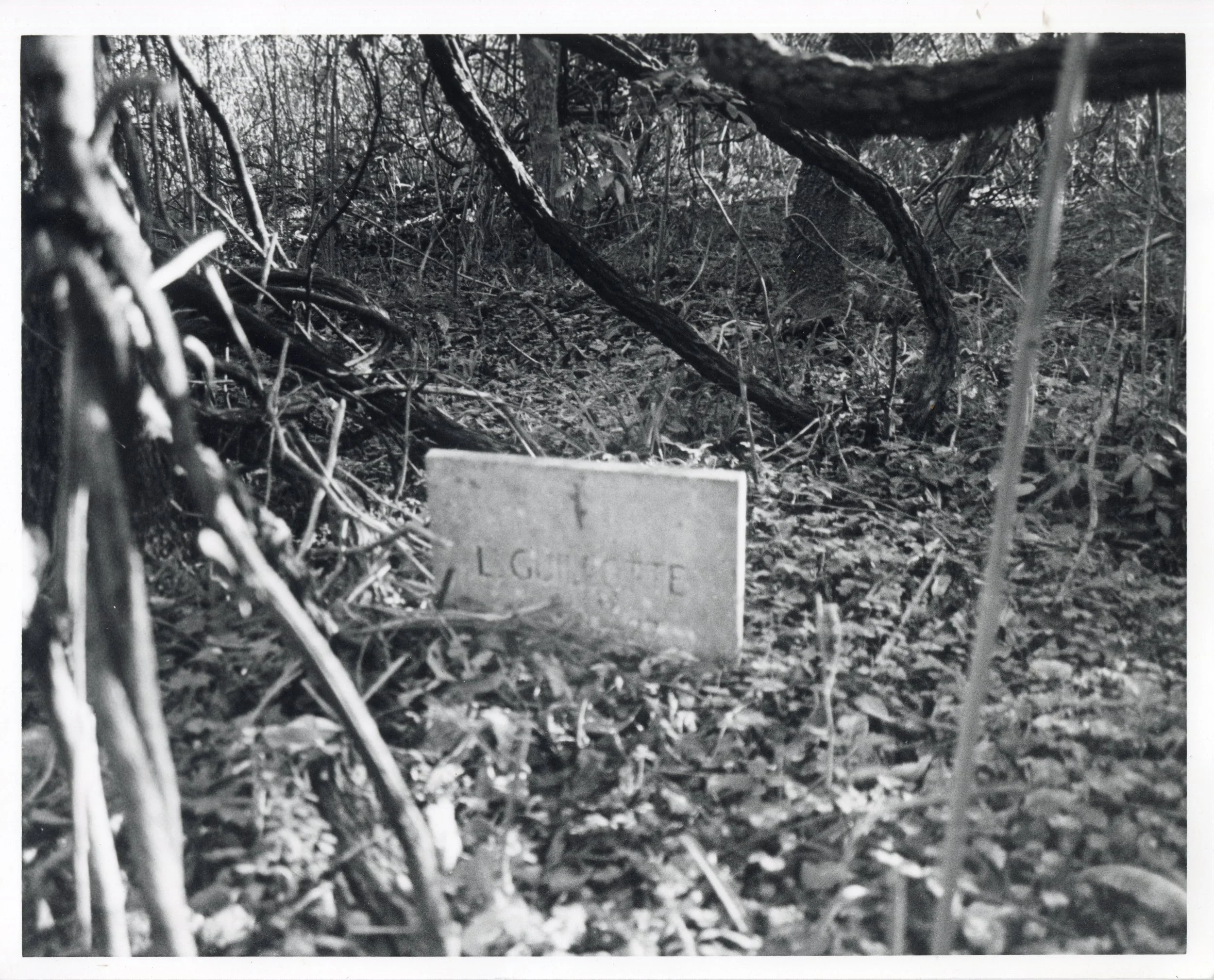 L. Guillotte, 2023. Gelatin-Silver Print