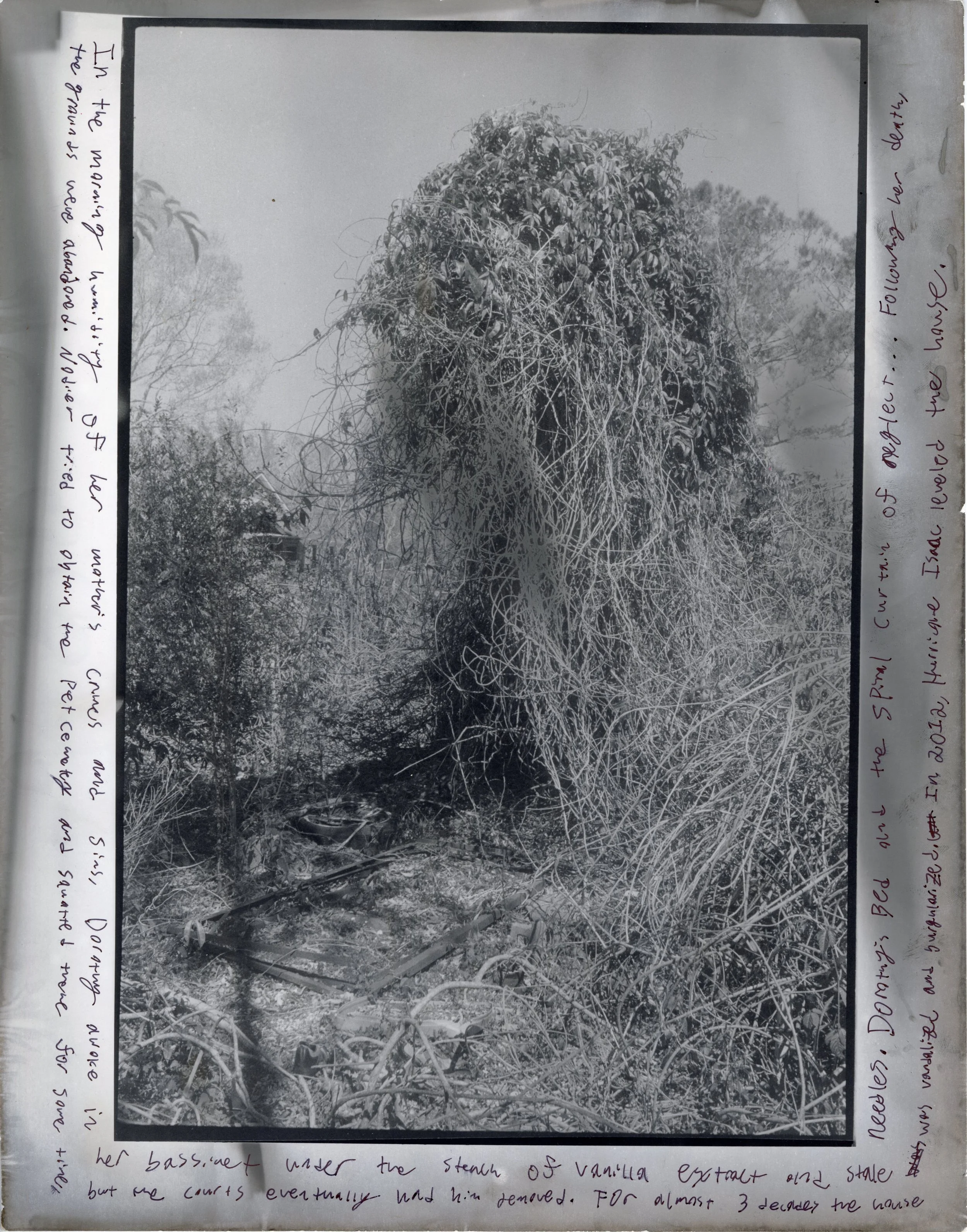 Dorothy's Bed and the Spiral Curtain of Neglect, 2022. Ink on Pseudosolarized Gelatin-Silver Print.