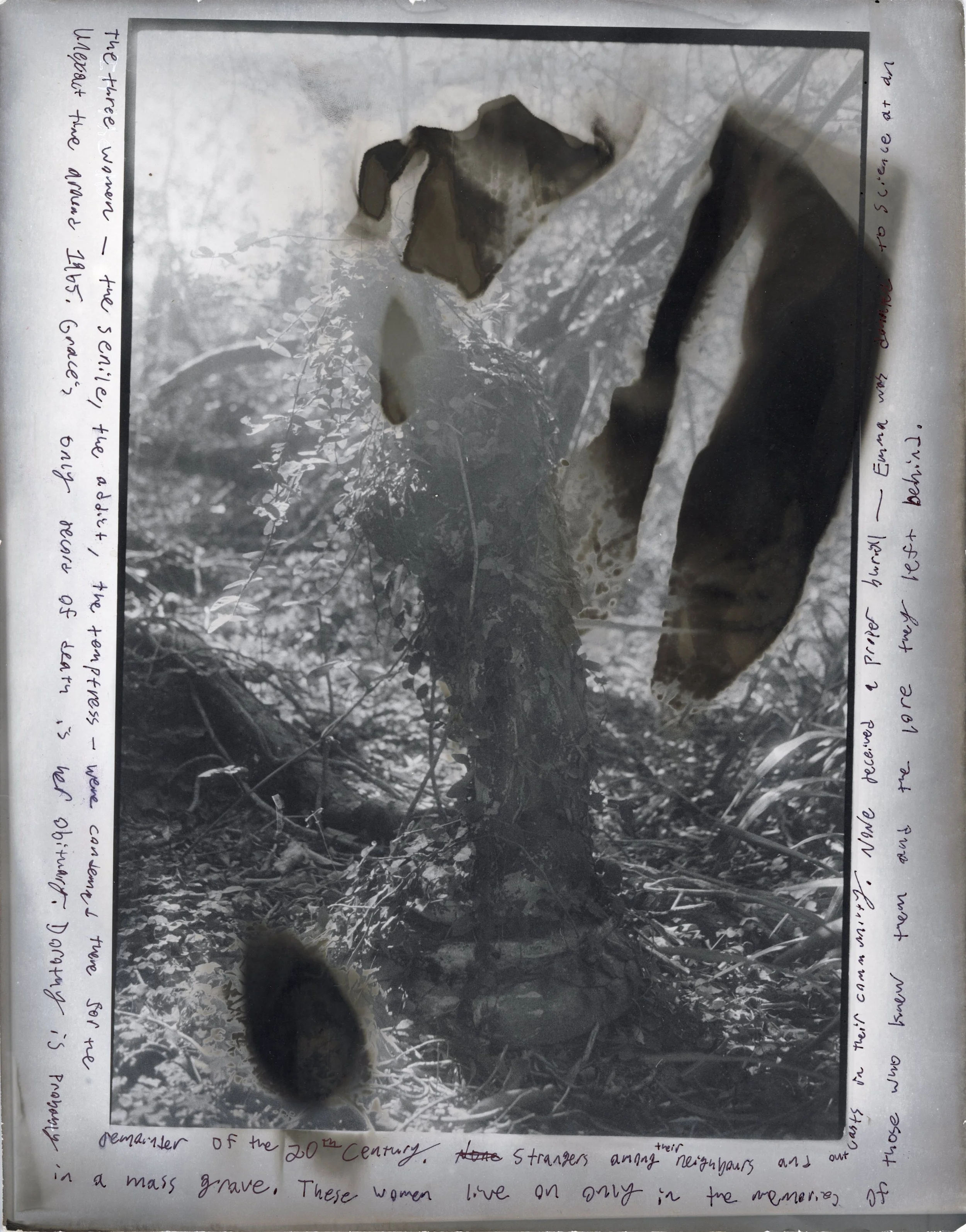 The Matt Family, 2022. Ink on Pseudosolarized Gelatin-Silver Print